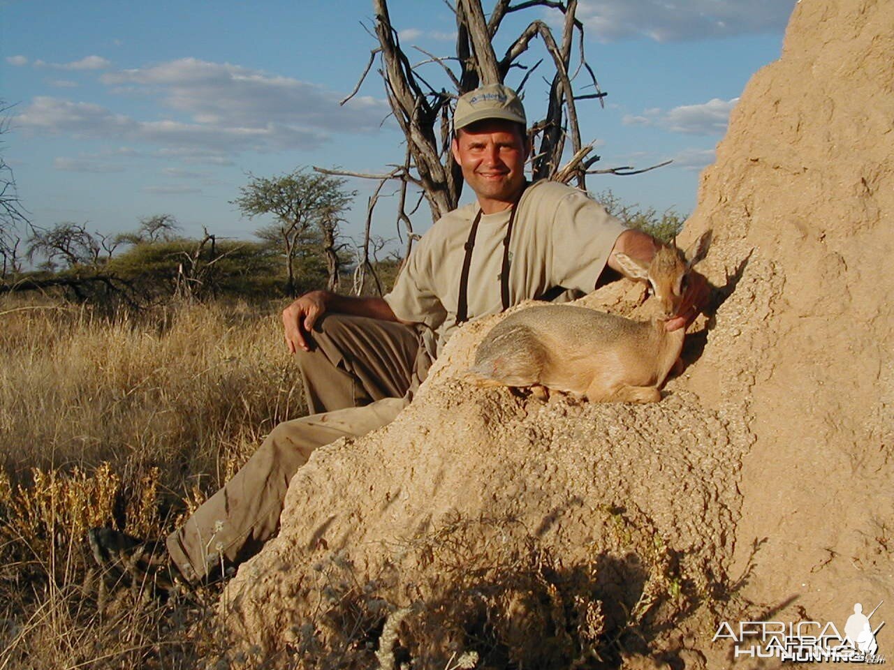 Hunting Damara Dik-Dik in Namibia