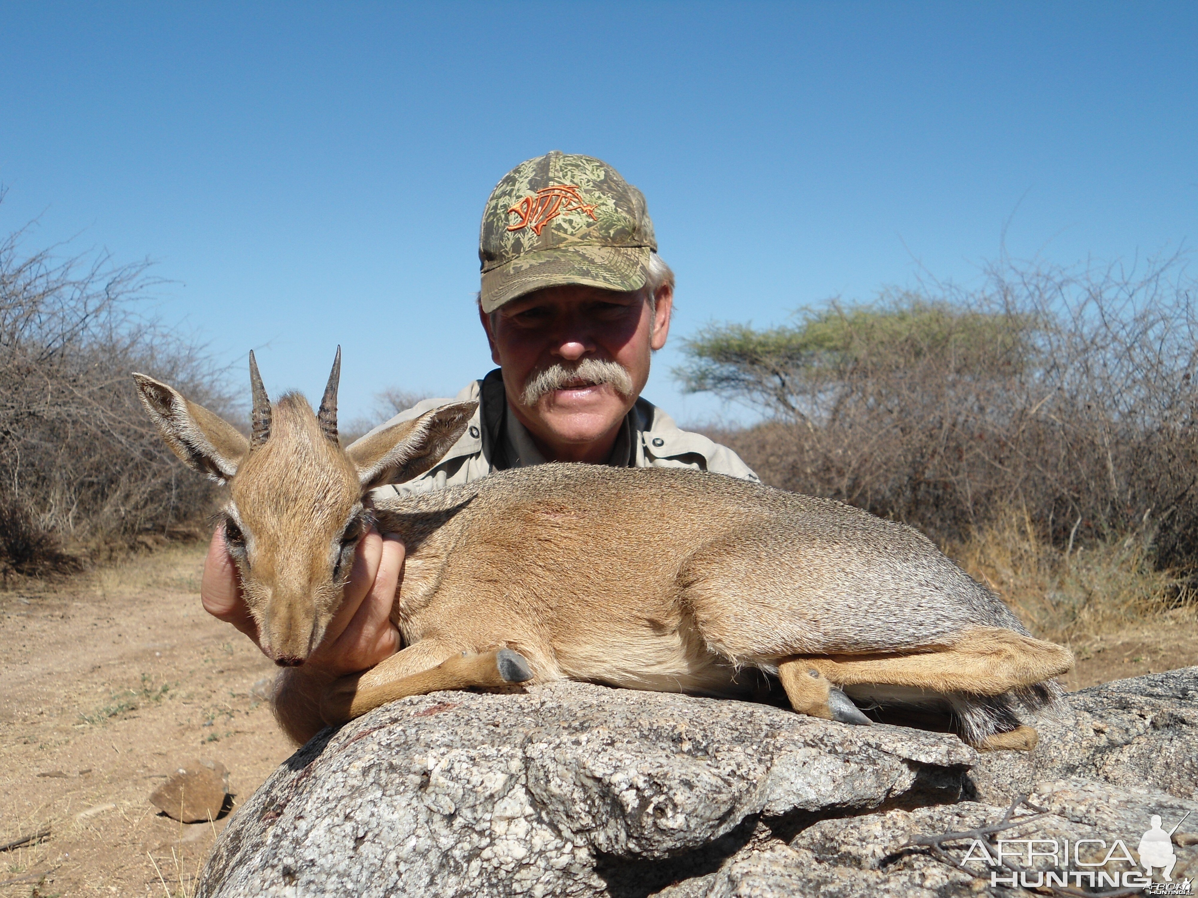 Hunting Damara Dik-Dik in Namibia