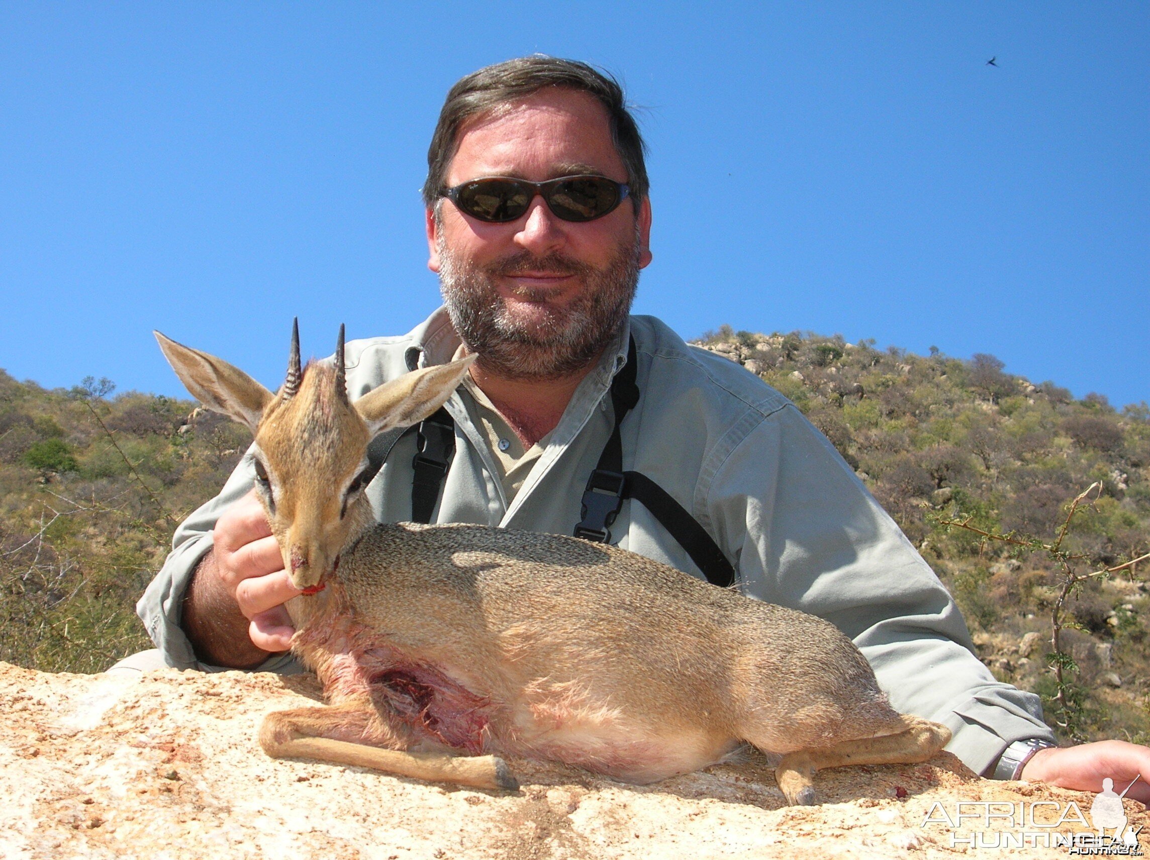 Hunting Damara Dik-Dik in Namibia