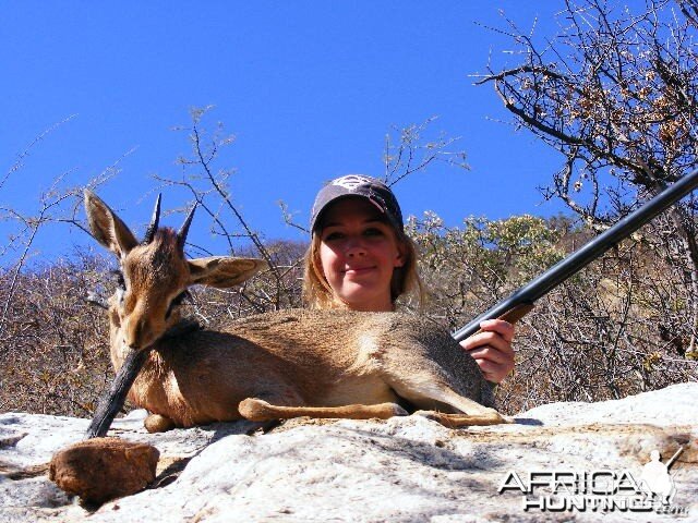 Hunting Damara Dik-Dik in Namibia