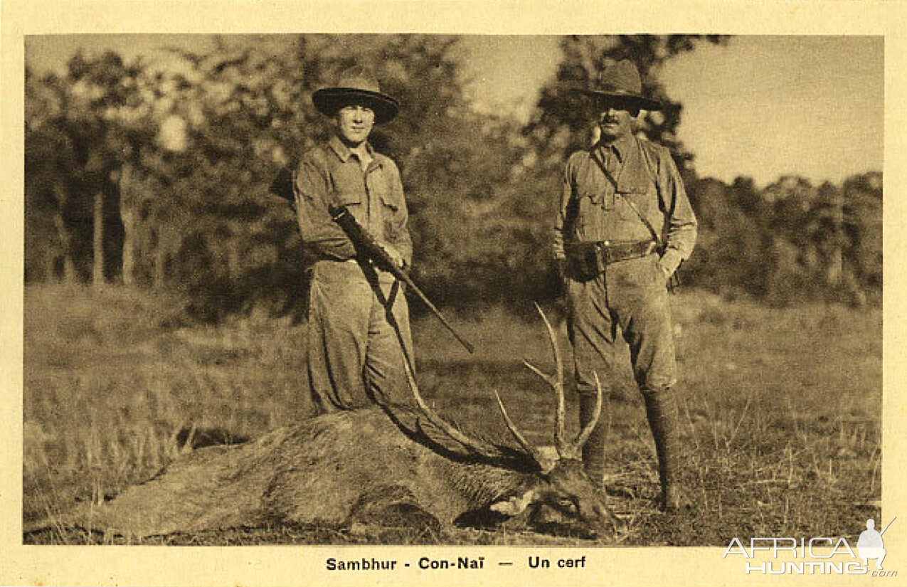 Hunting Deer in Vietnam ca 1920