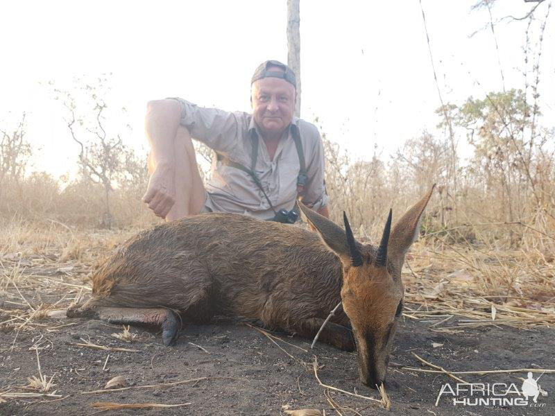 Hunting Duiker in Mozambique