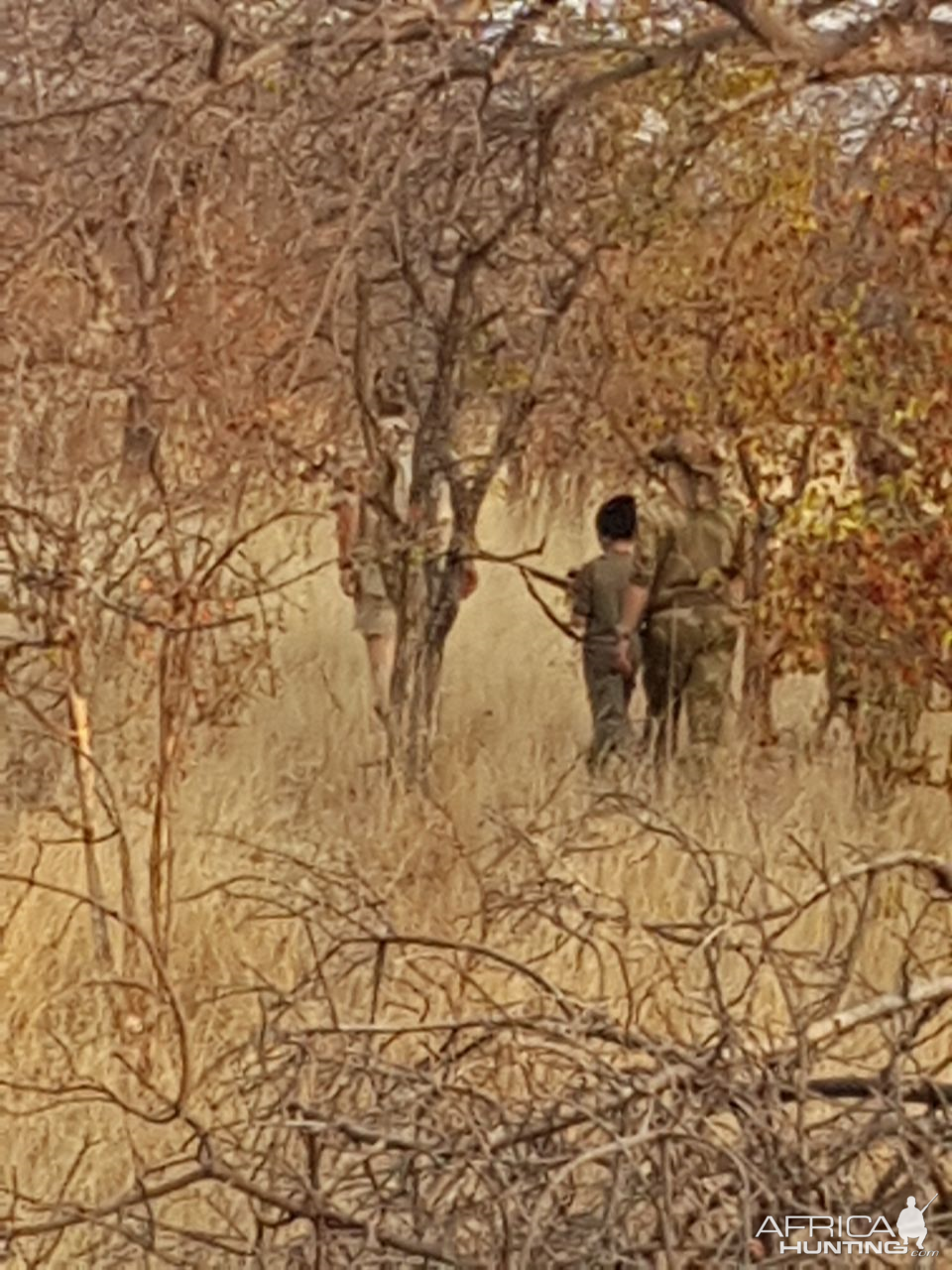 Hunting Duiker in South Africa