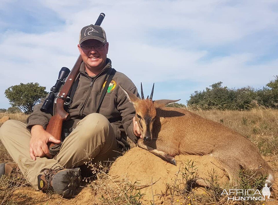 Hunting Duiker in South Africa