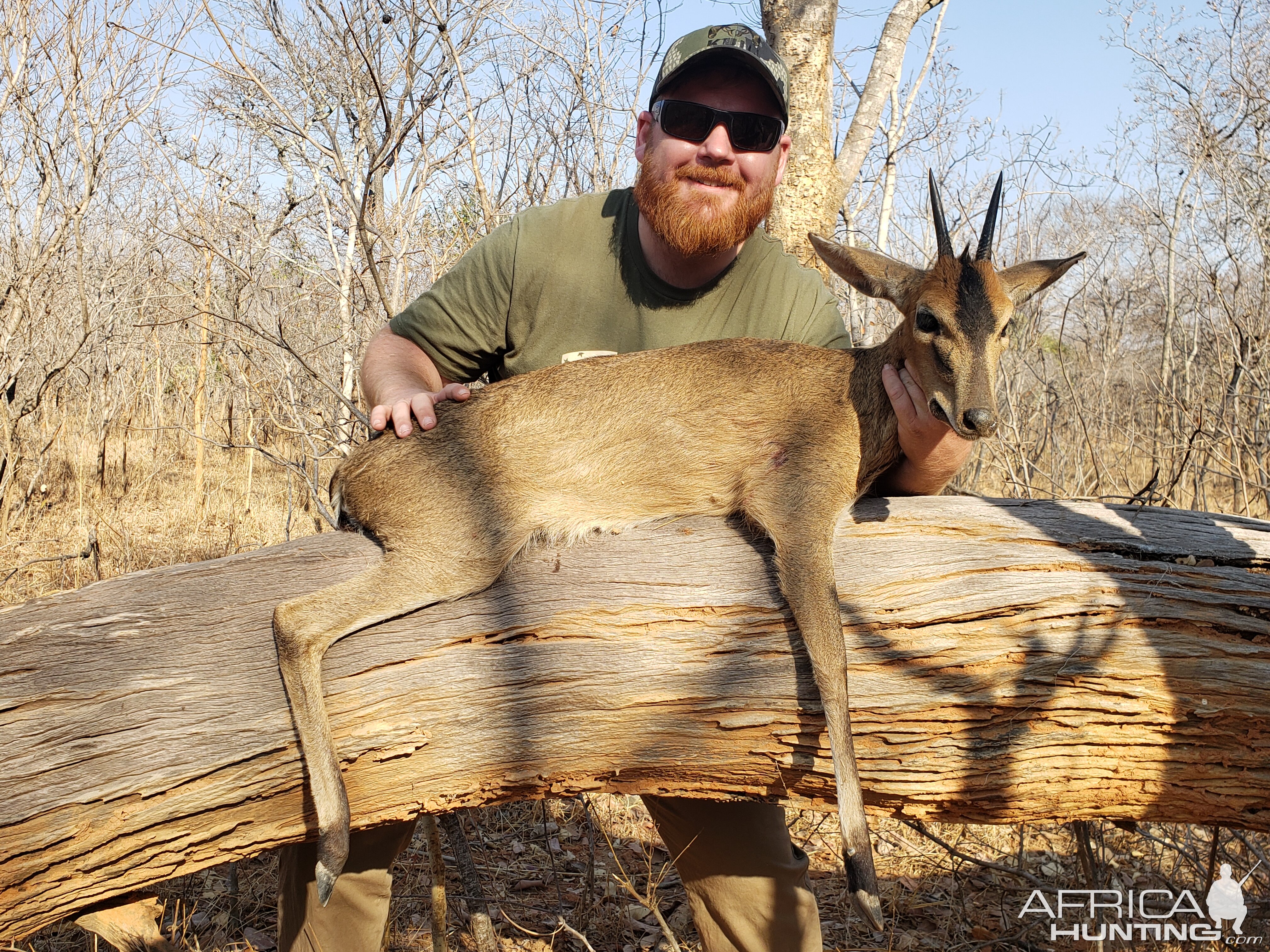 Hunting Duiker in Zambia