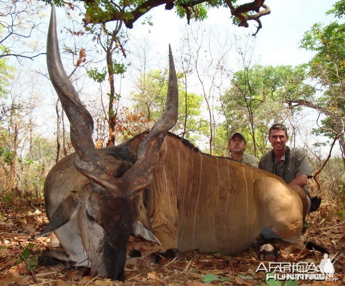 Hunting Eland Derby in C.A.R.