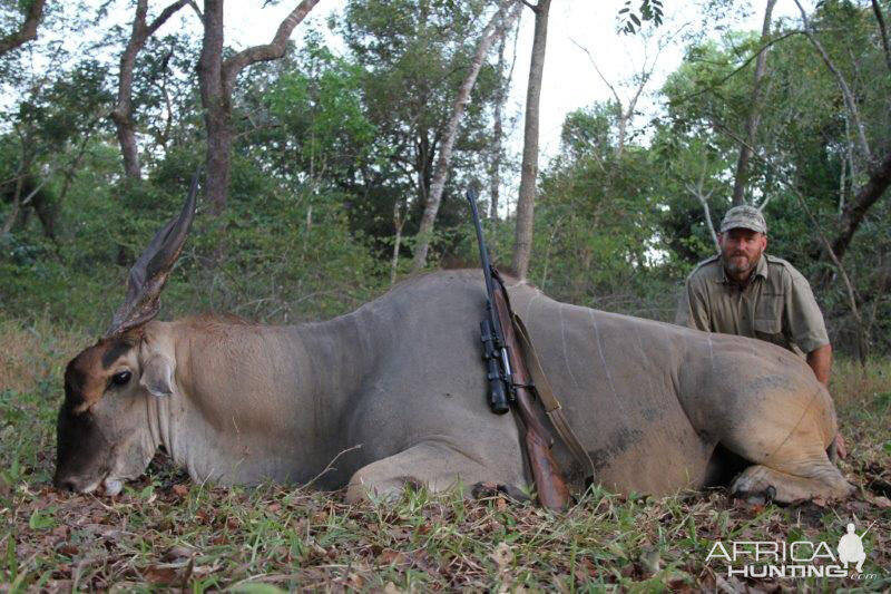 Hunting Eland in Mozambique