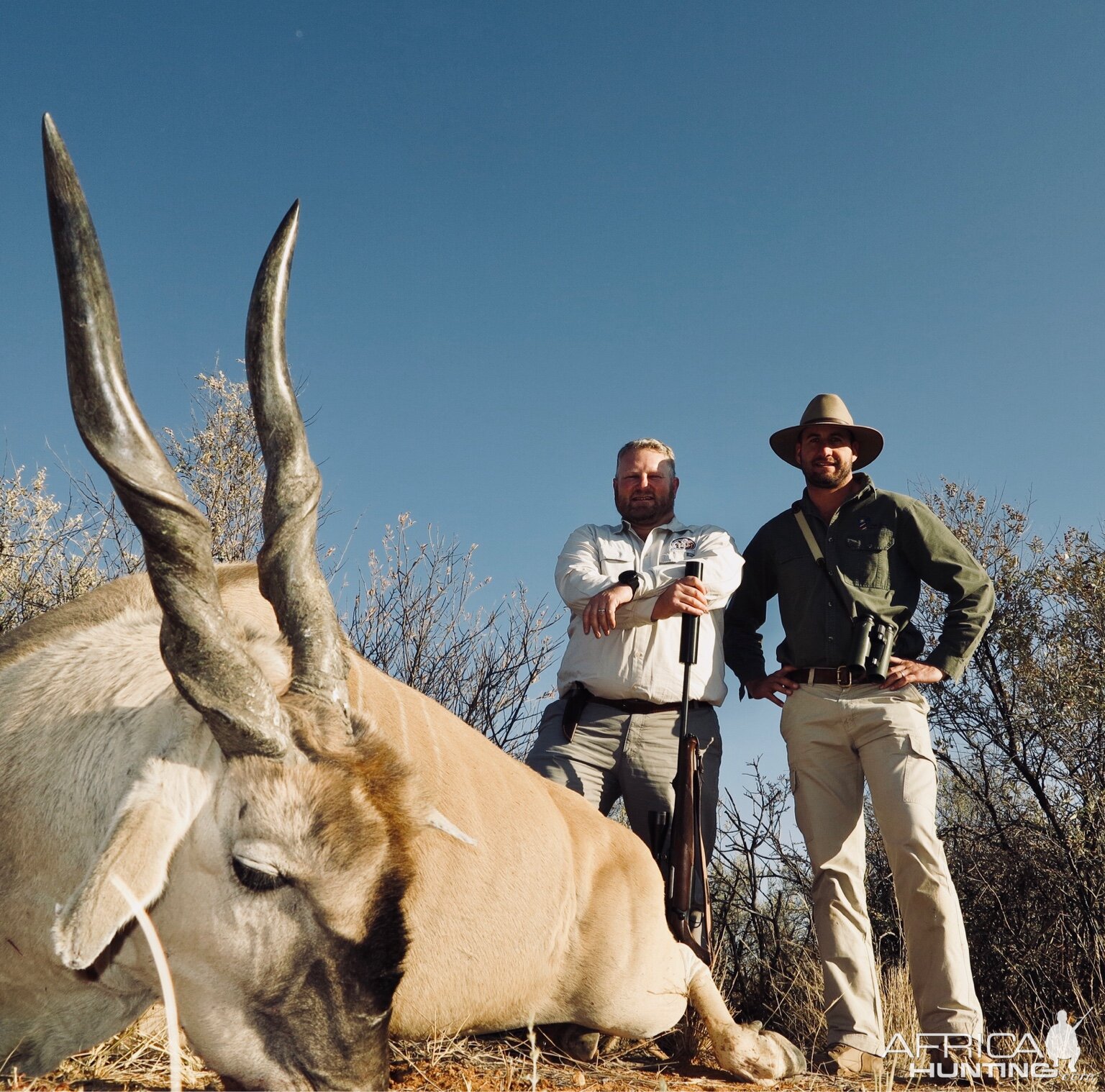 Hunting Eland in Namibia