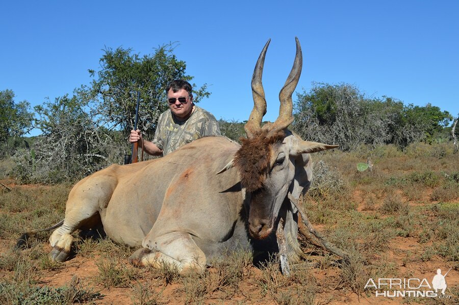 Hunting Eland in South Africa