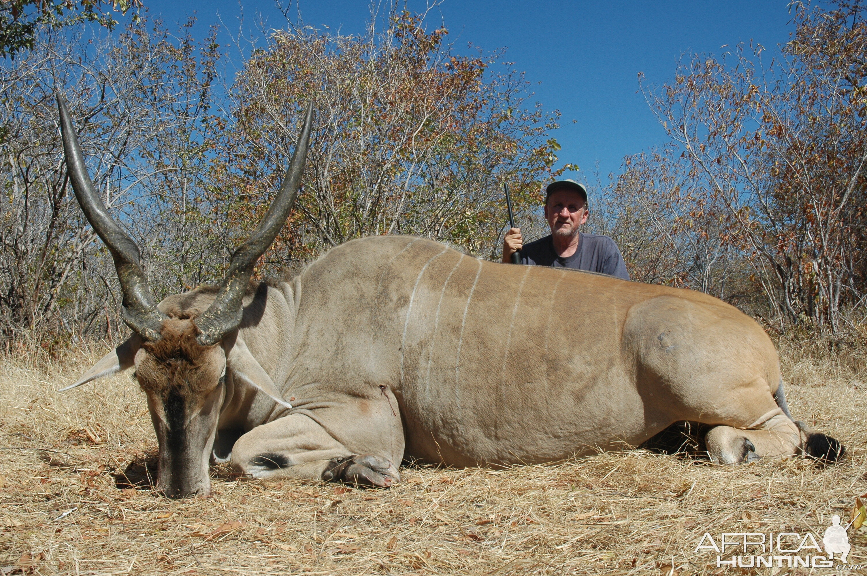 Hunting Eland in Zimbabwe