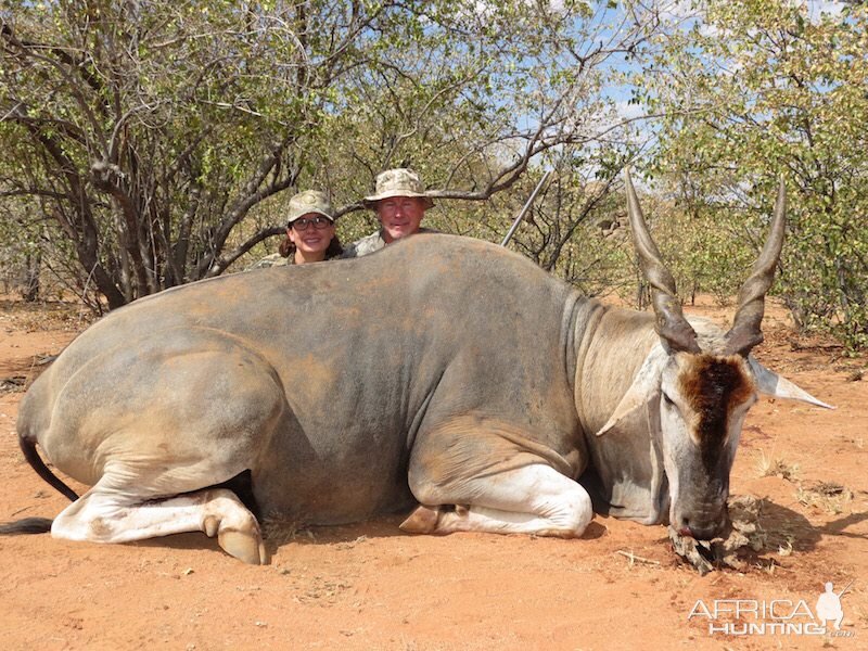 Hunting Eland Namibia