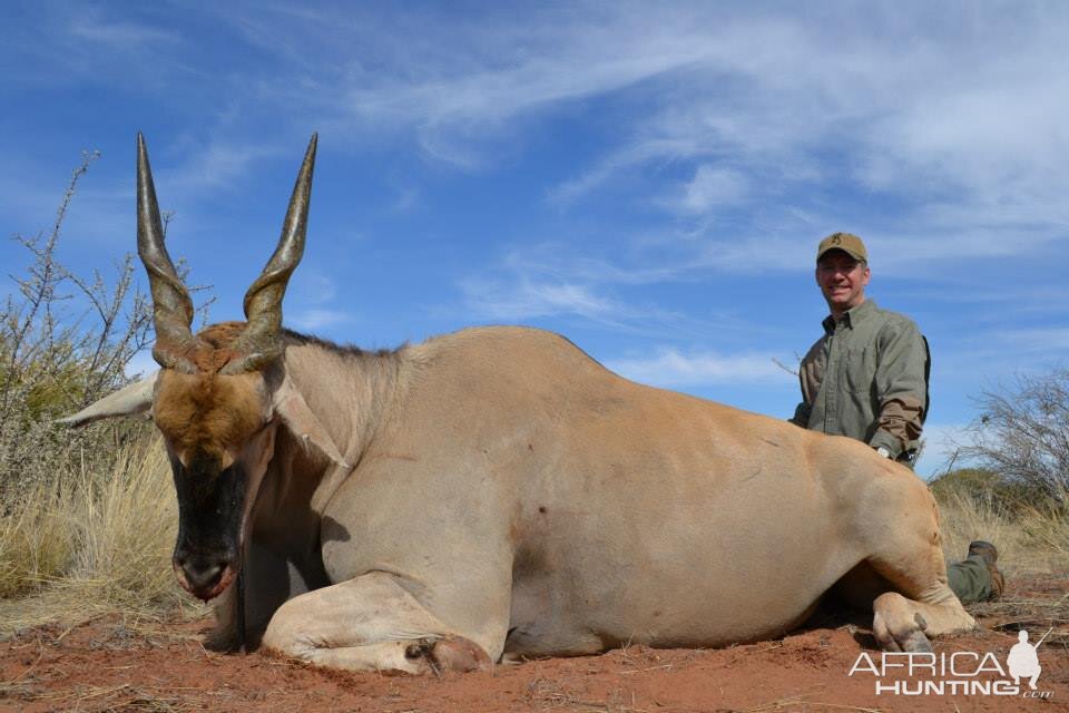 Hunting Eland Namibia