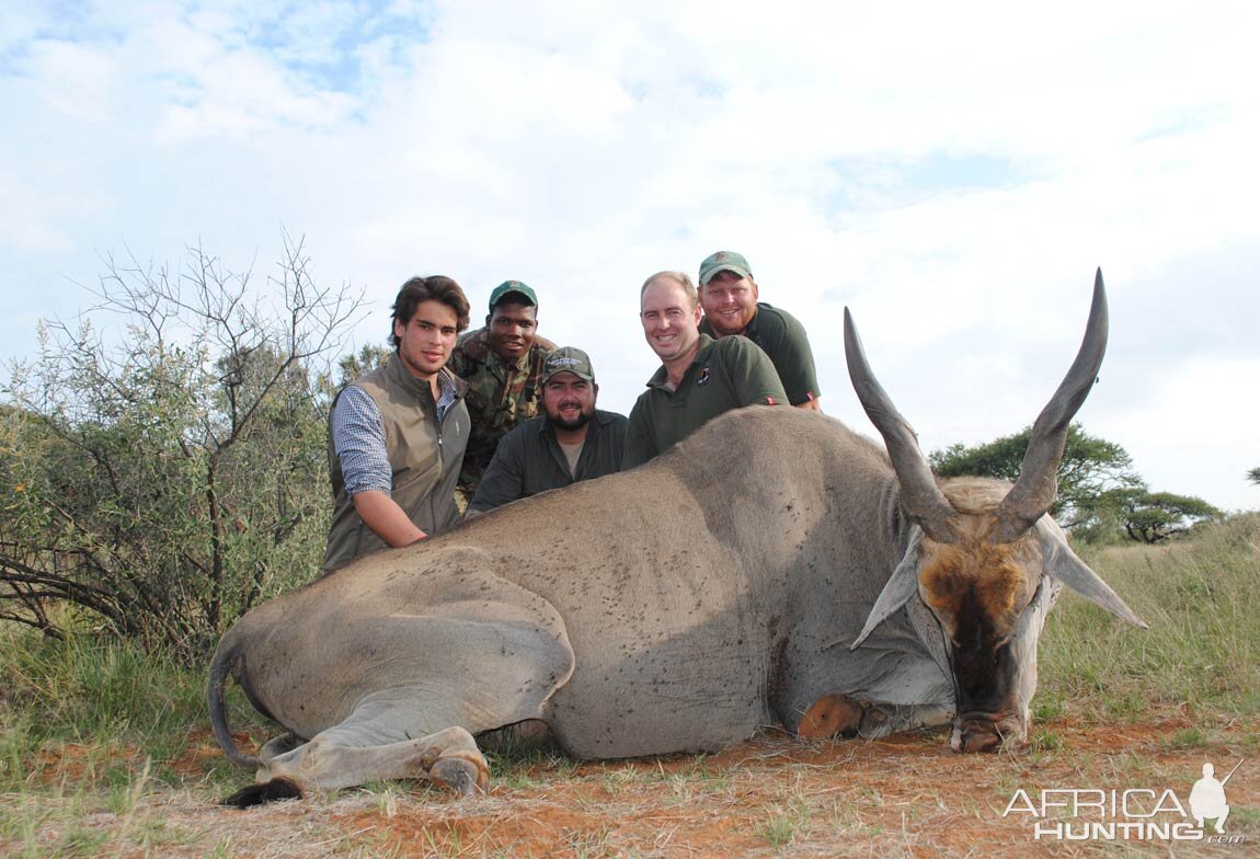 Hunting Eland South Africa