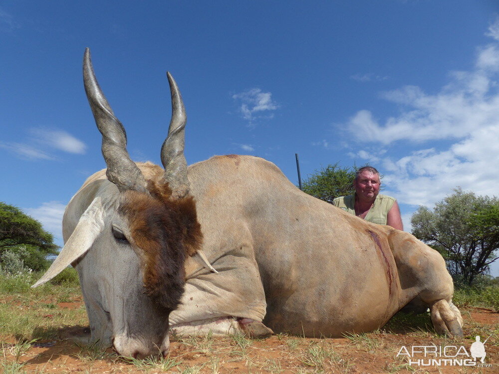 Hunting Eland South Africa