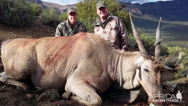 Hunting Eland South Africa