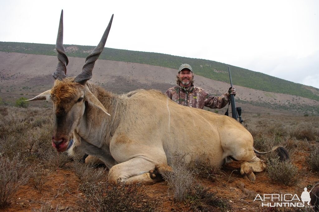 Hunting Eland South Africa