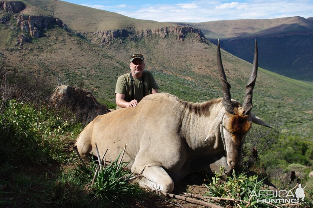 Hunting Eland South Africa