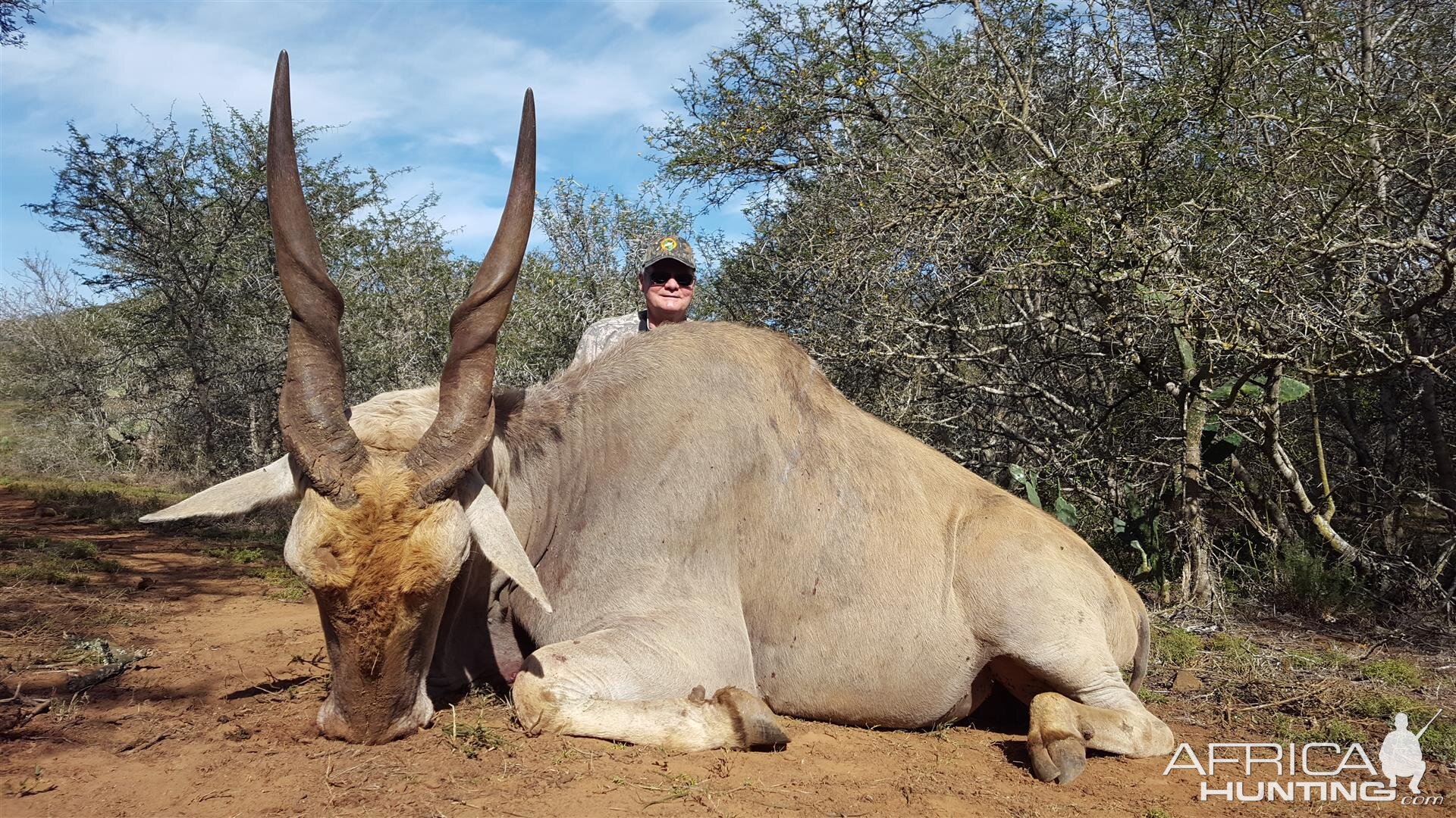 Hunting Eland South Africa