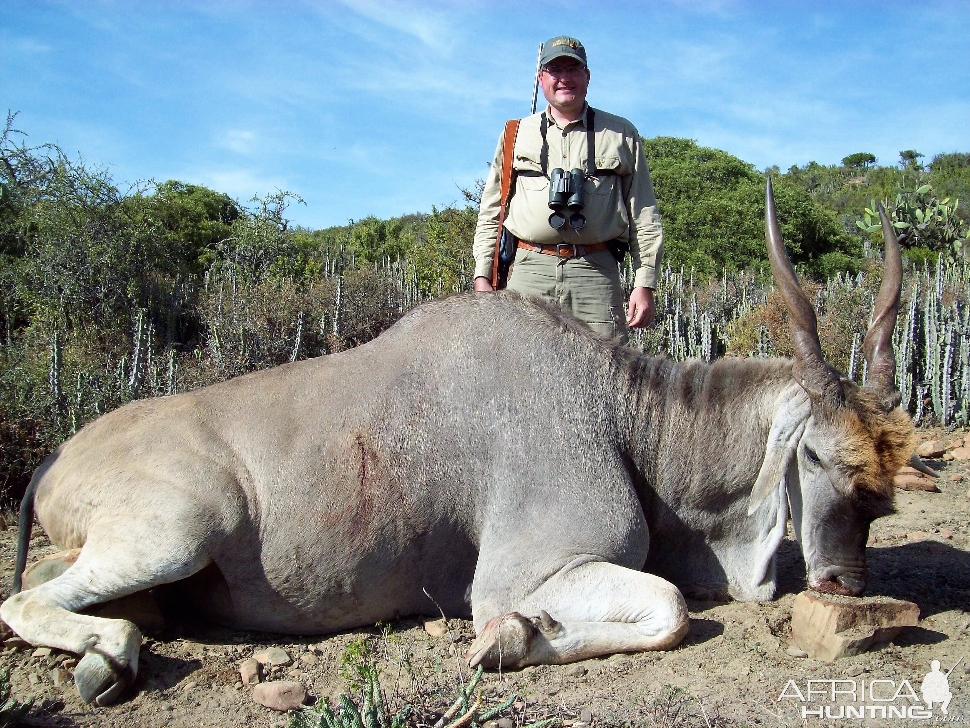 Hunting Eland South Africa