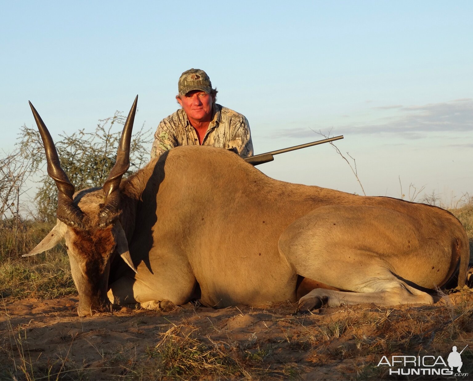 Hunting Eland South Africa