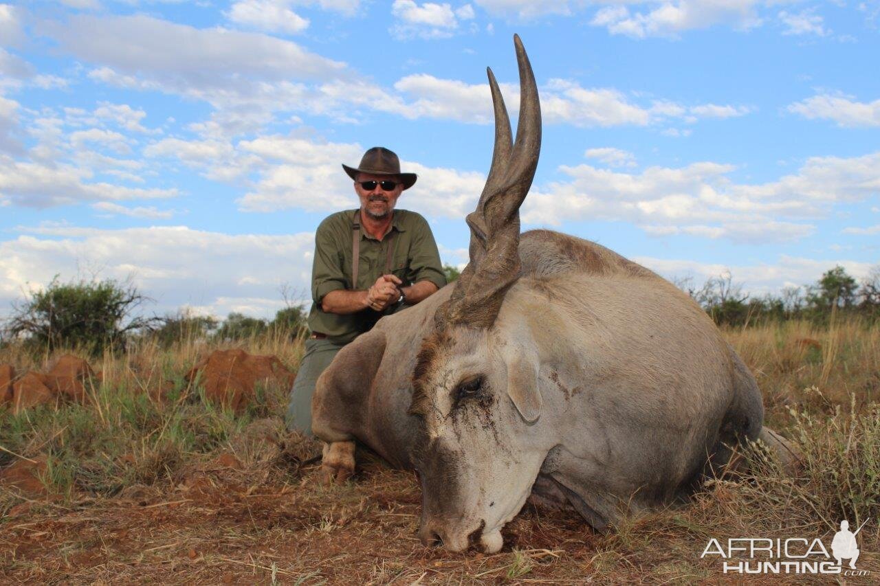 Hunting Eland South Africa