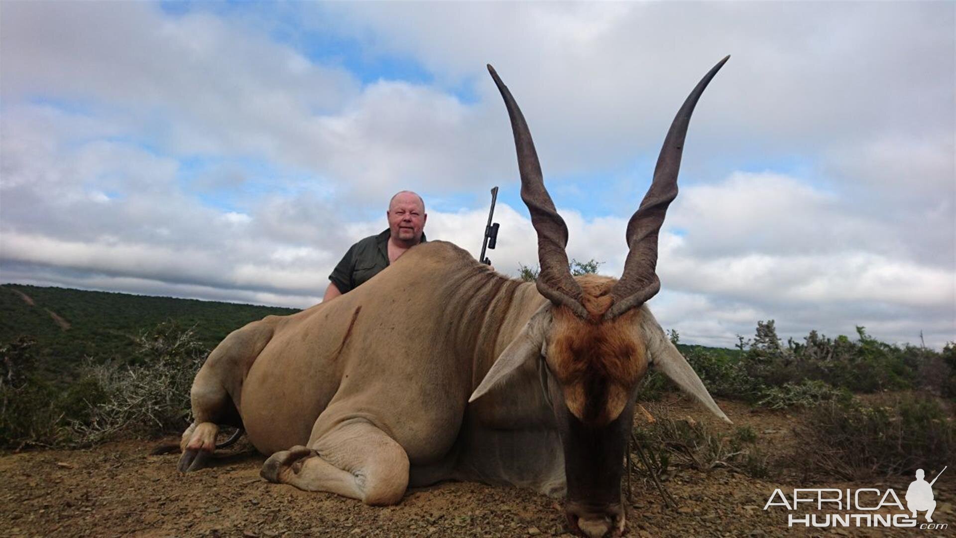 Hunting Eland South Africa