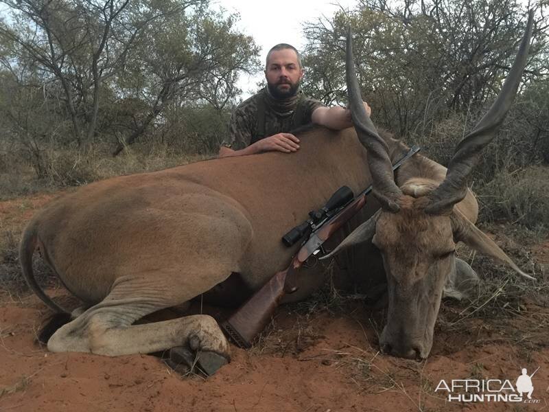 Hunting Eland South Africa