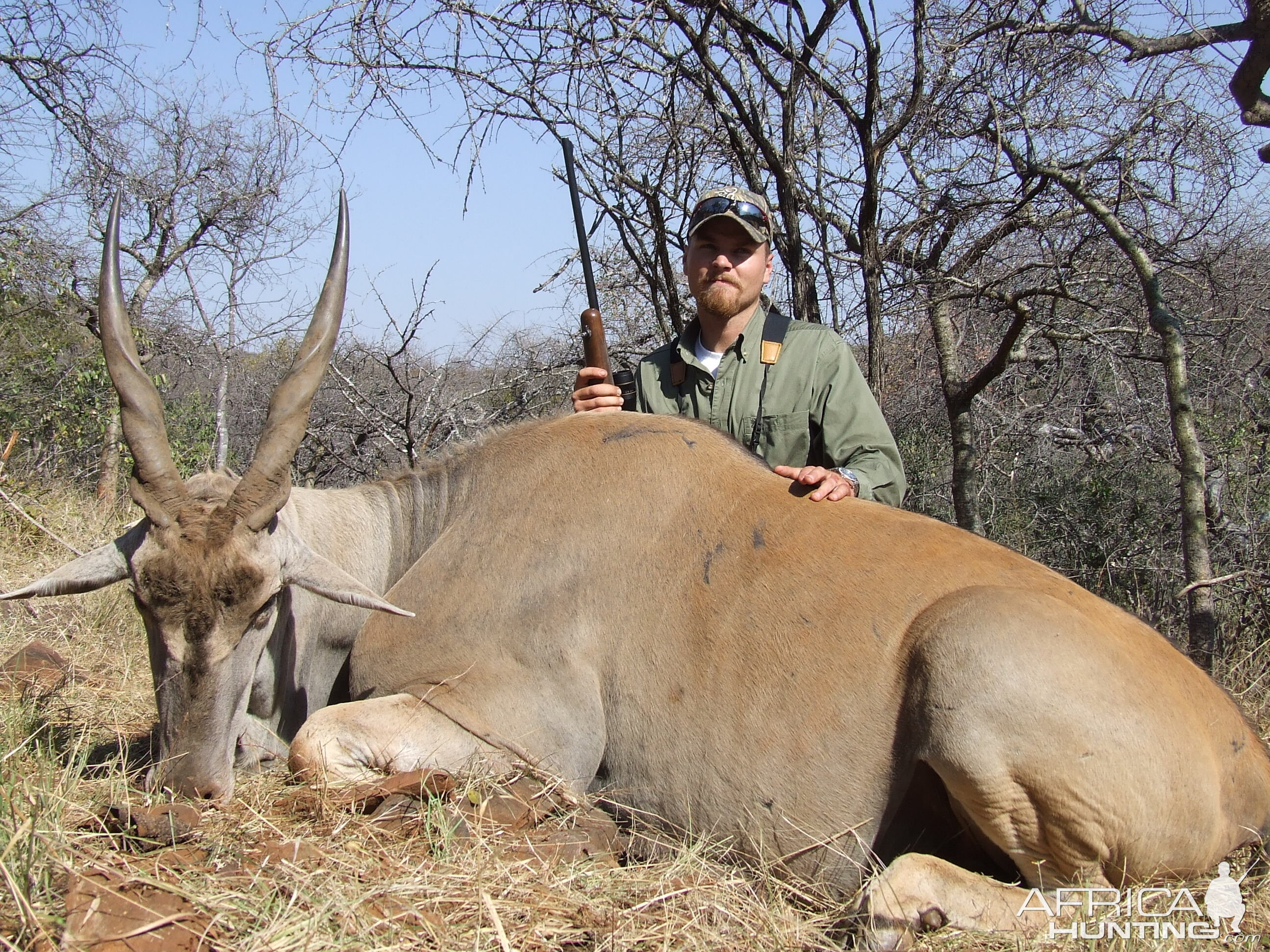 Hunting Eland with Wintershoek Johnny Vivier Safaris in SA