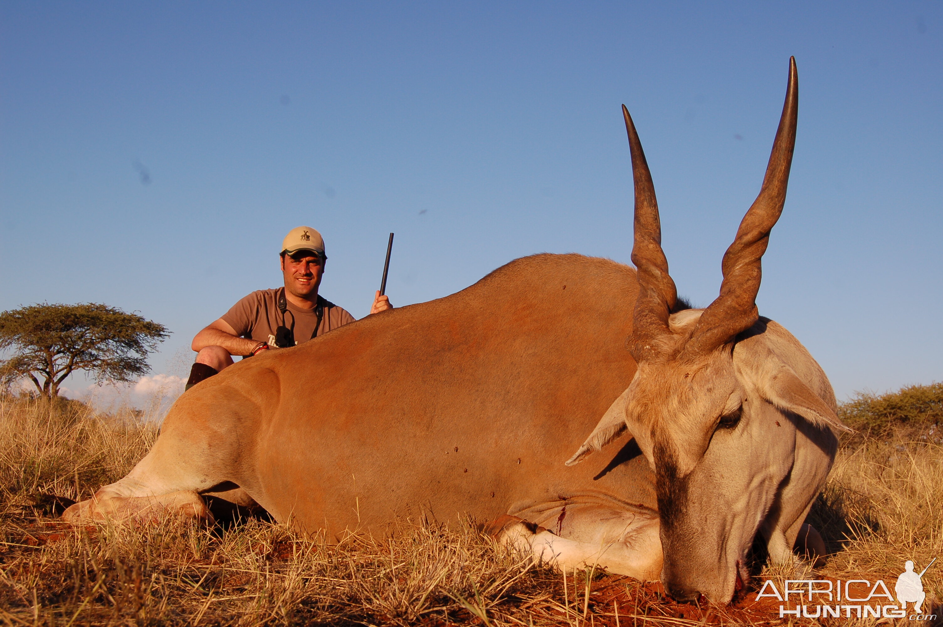 Hunting Eland with Wintershoek Johnny Vivier Safaris in SA