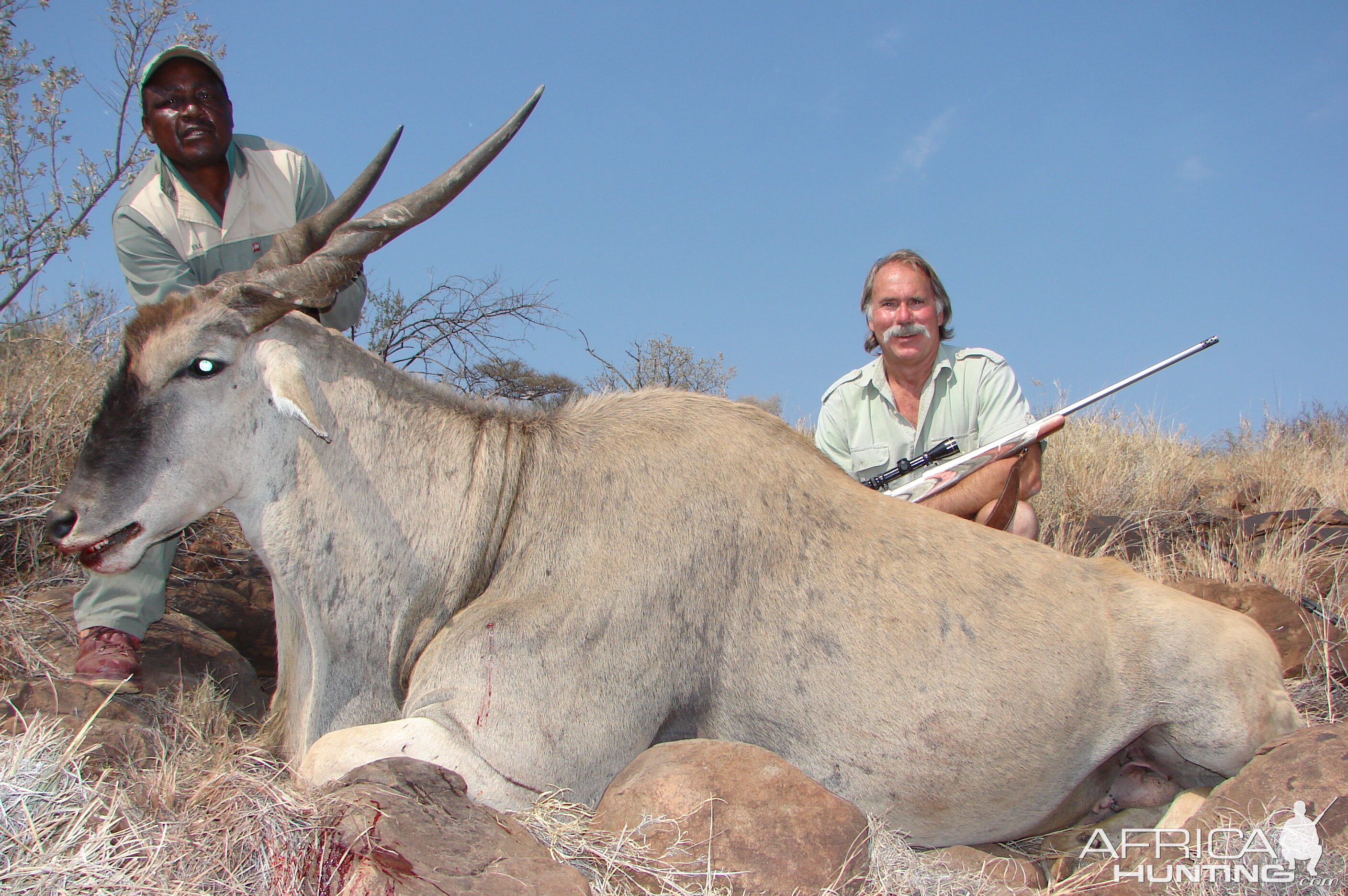 Hunting Eland with Wintershoek Johnny Vivier Safaris in SA