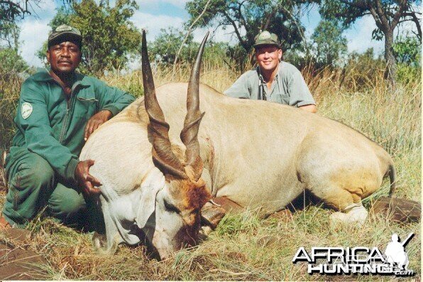 Hunting Eland with Wintershoek Johnny Vivier Safaris in SA