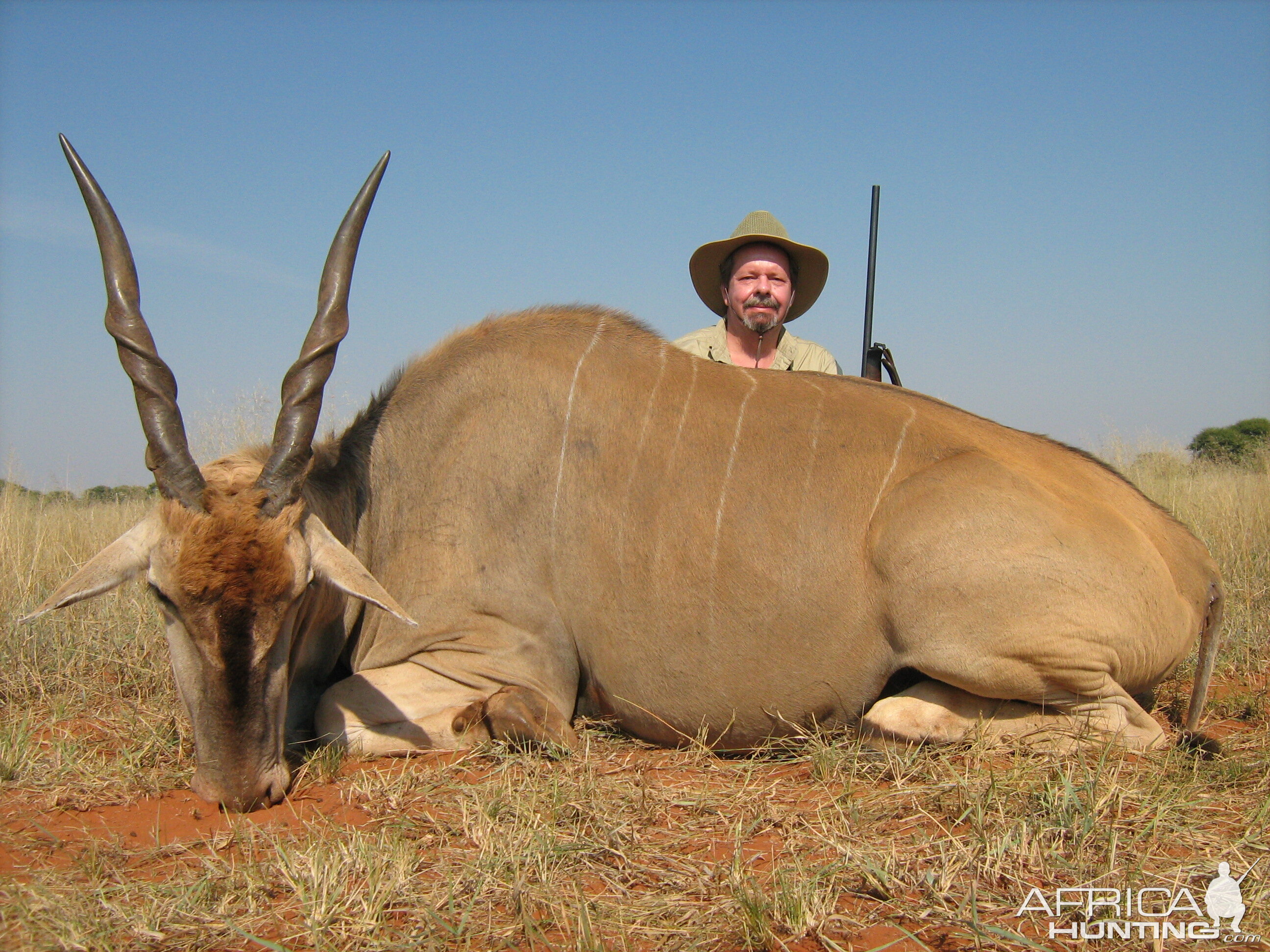 Hunting Eland with Wintershoek Johnny Vivier Safaris in SA