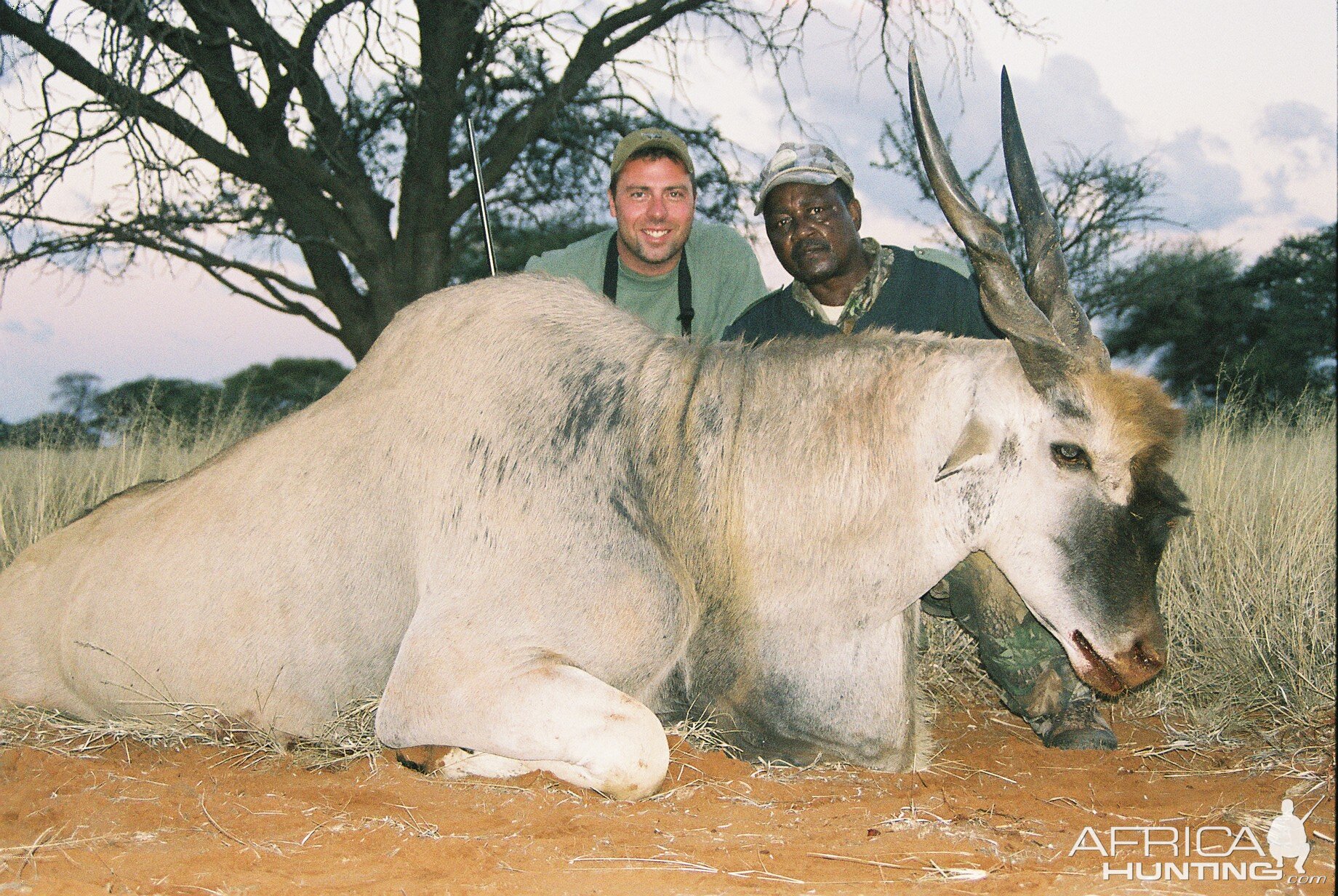 Hunting Eland with Wintershoek Johnny Vivier Safaris in SA