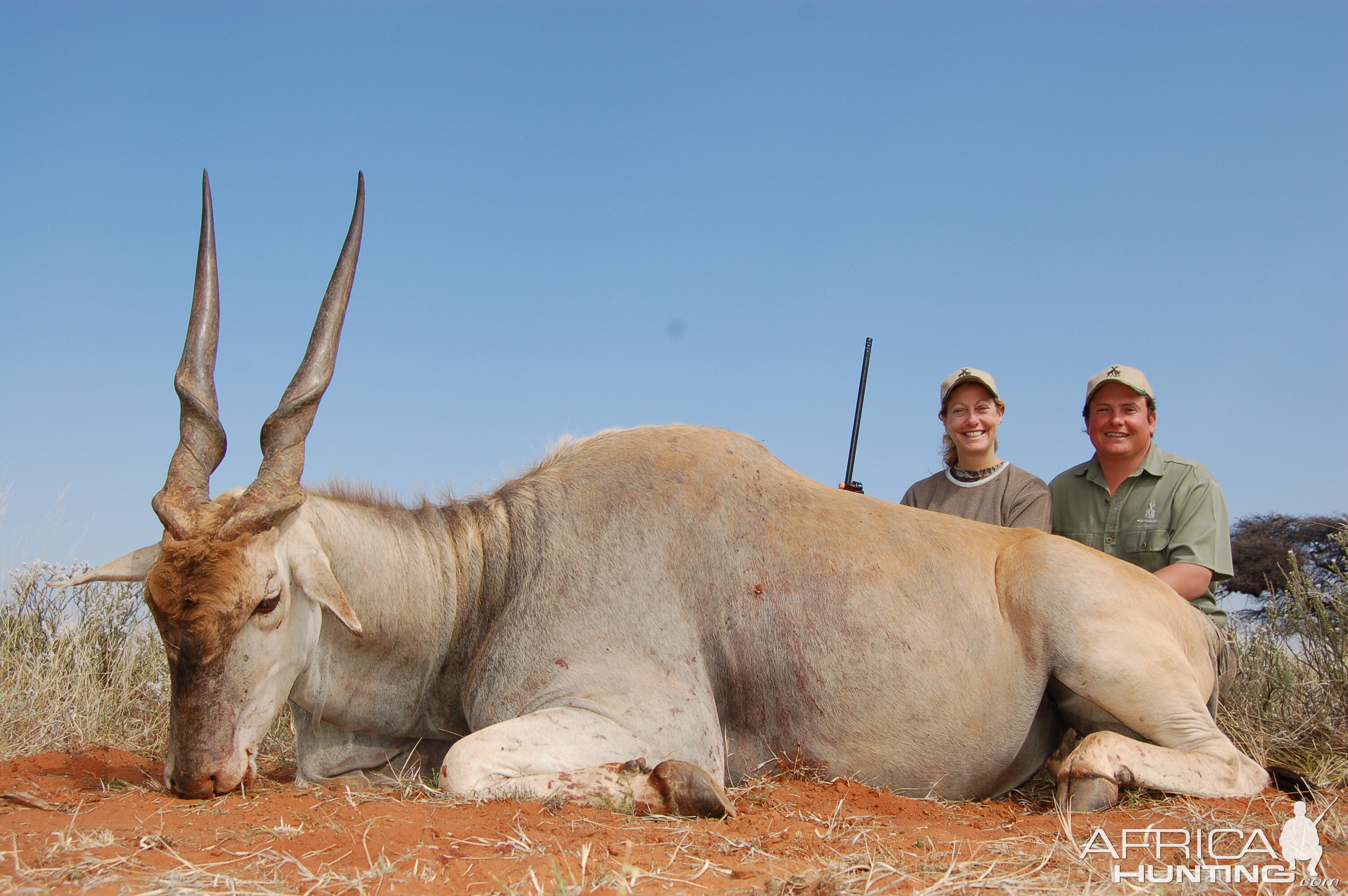 Hunting Eland with Wintershoek Johnny Vivier Safaris in SA