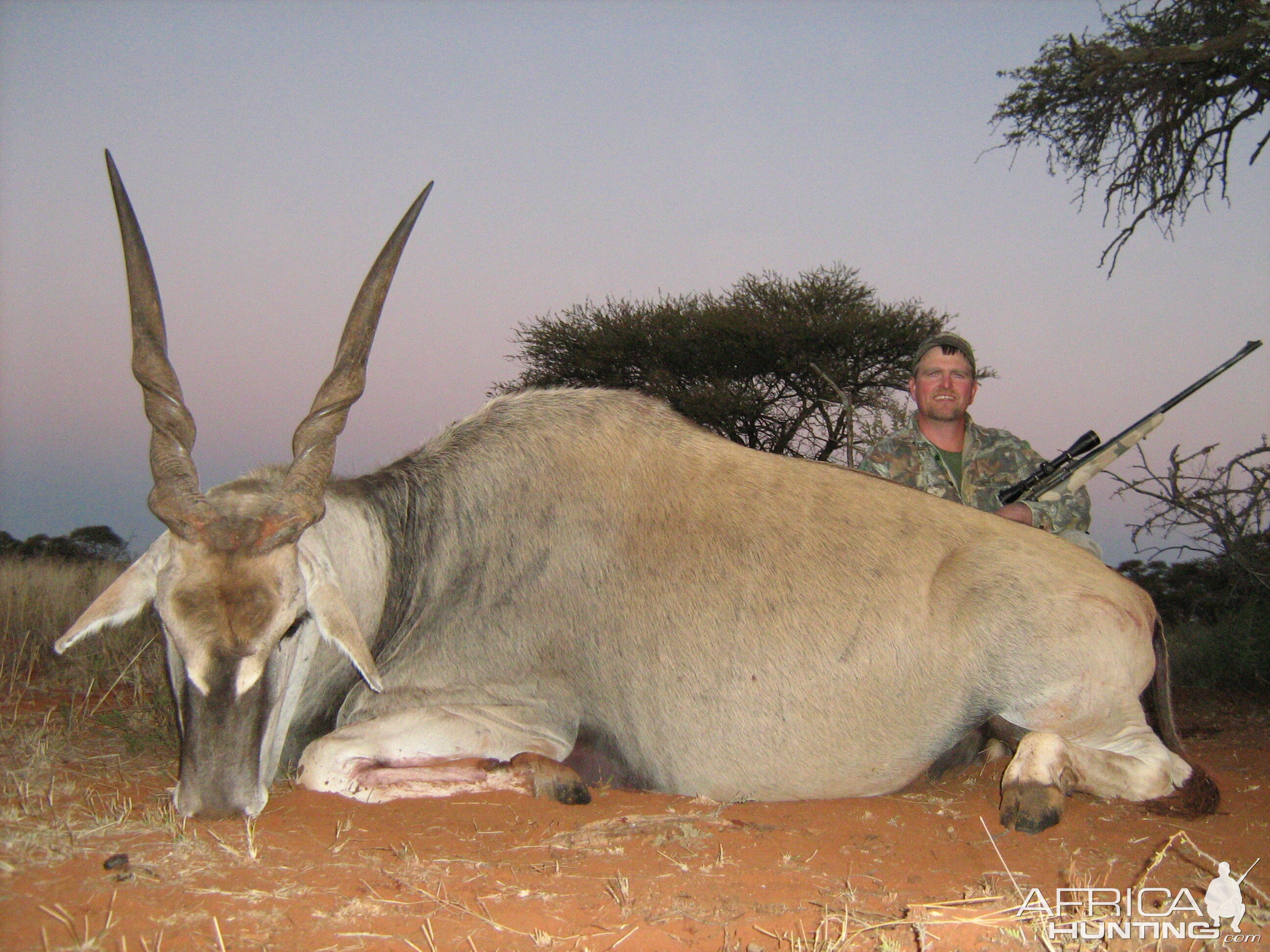 Hunting Eland with Wintershoek Johnny Vivier Safaris in SA