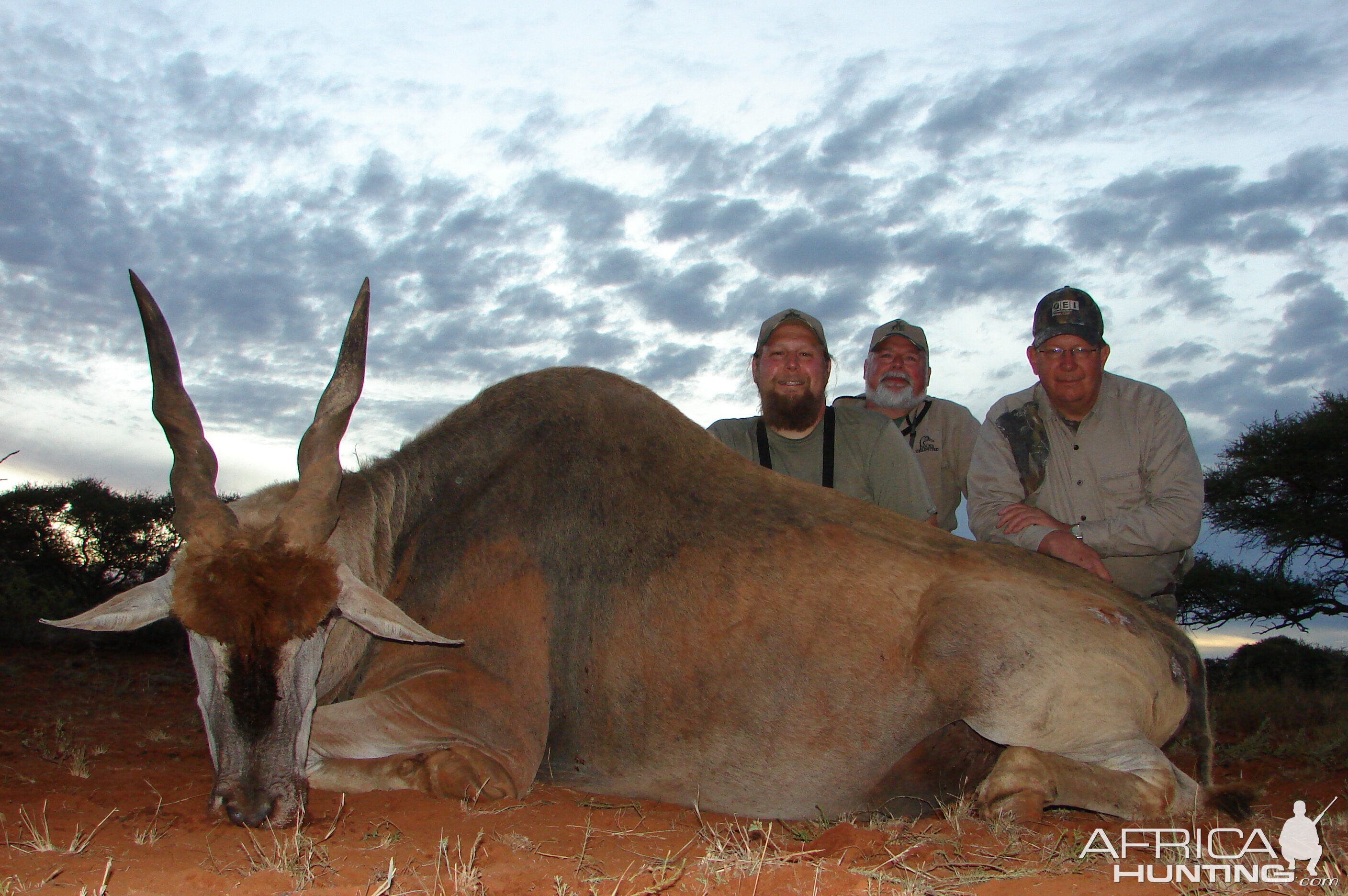 Hunting Eland with Wintershoek Johnny Vivier Safaris in SA