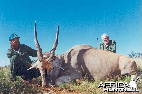 Hunting Eland with Wintershoek Johnny Vivier Safaris in SA