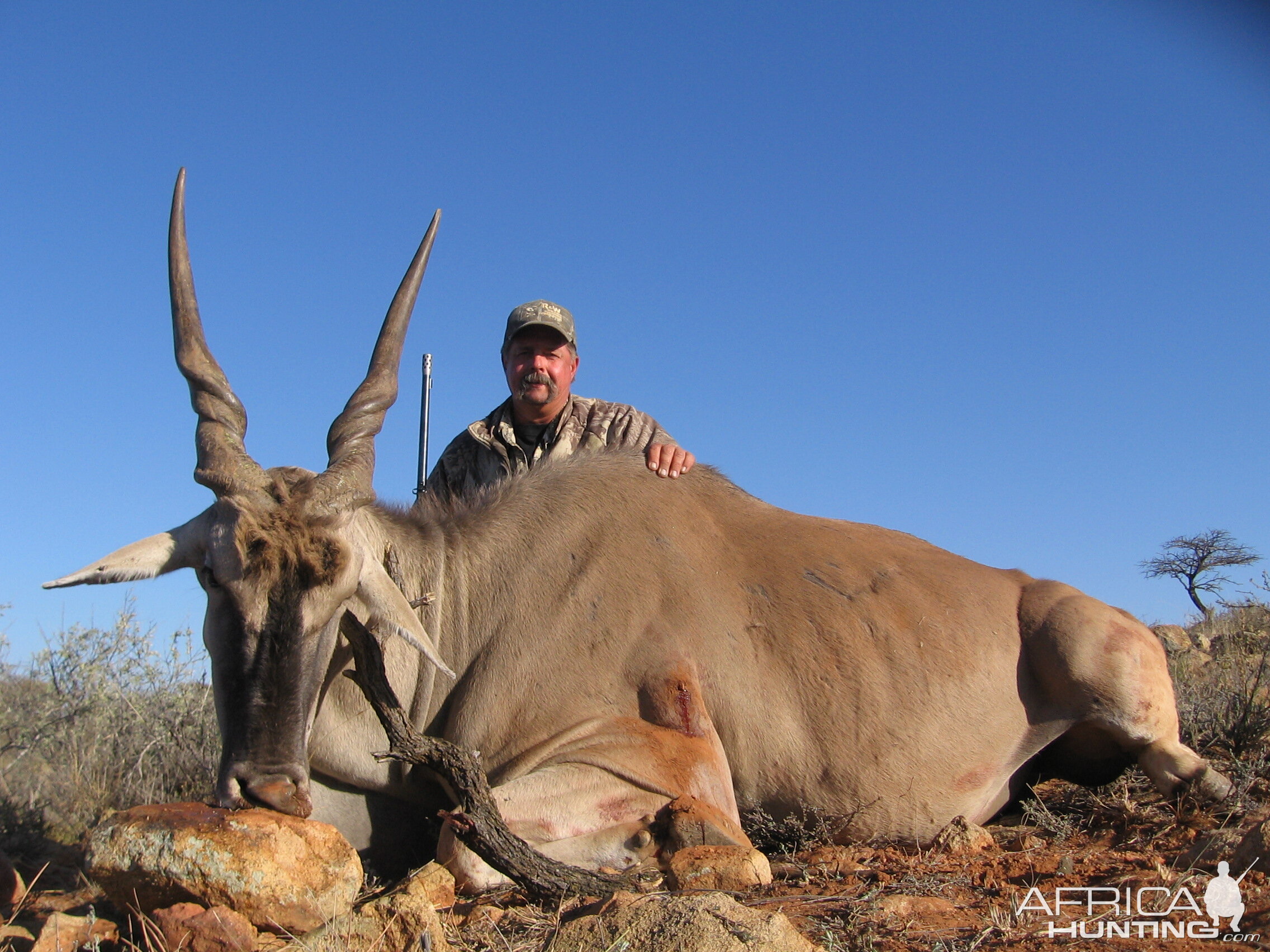 Hunting Eland with Wintershoek Johnny Vivier Safaris in SA