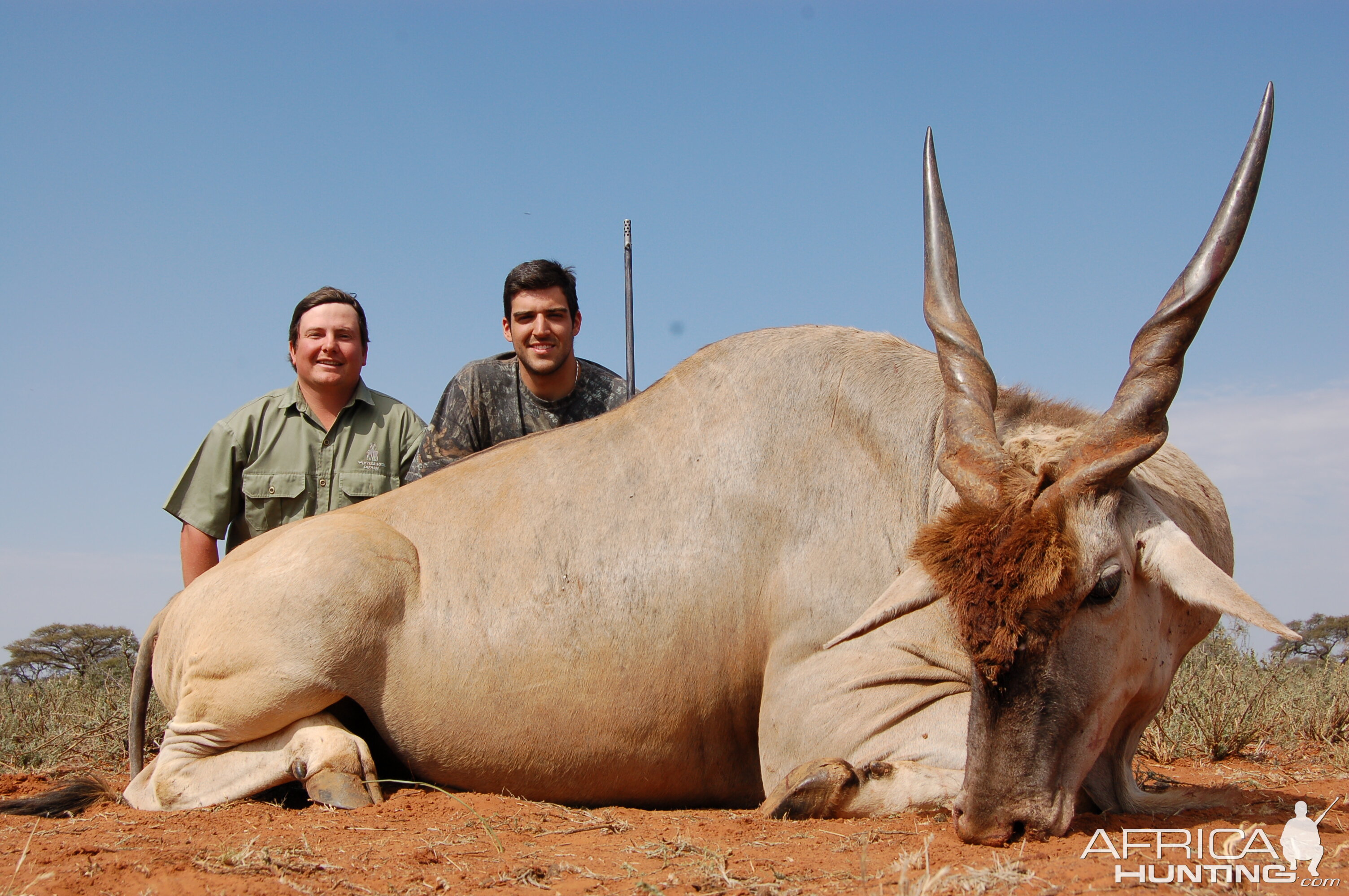 Hunting Eland with Wintershoek Johnny Vivier Safaris in SA