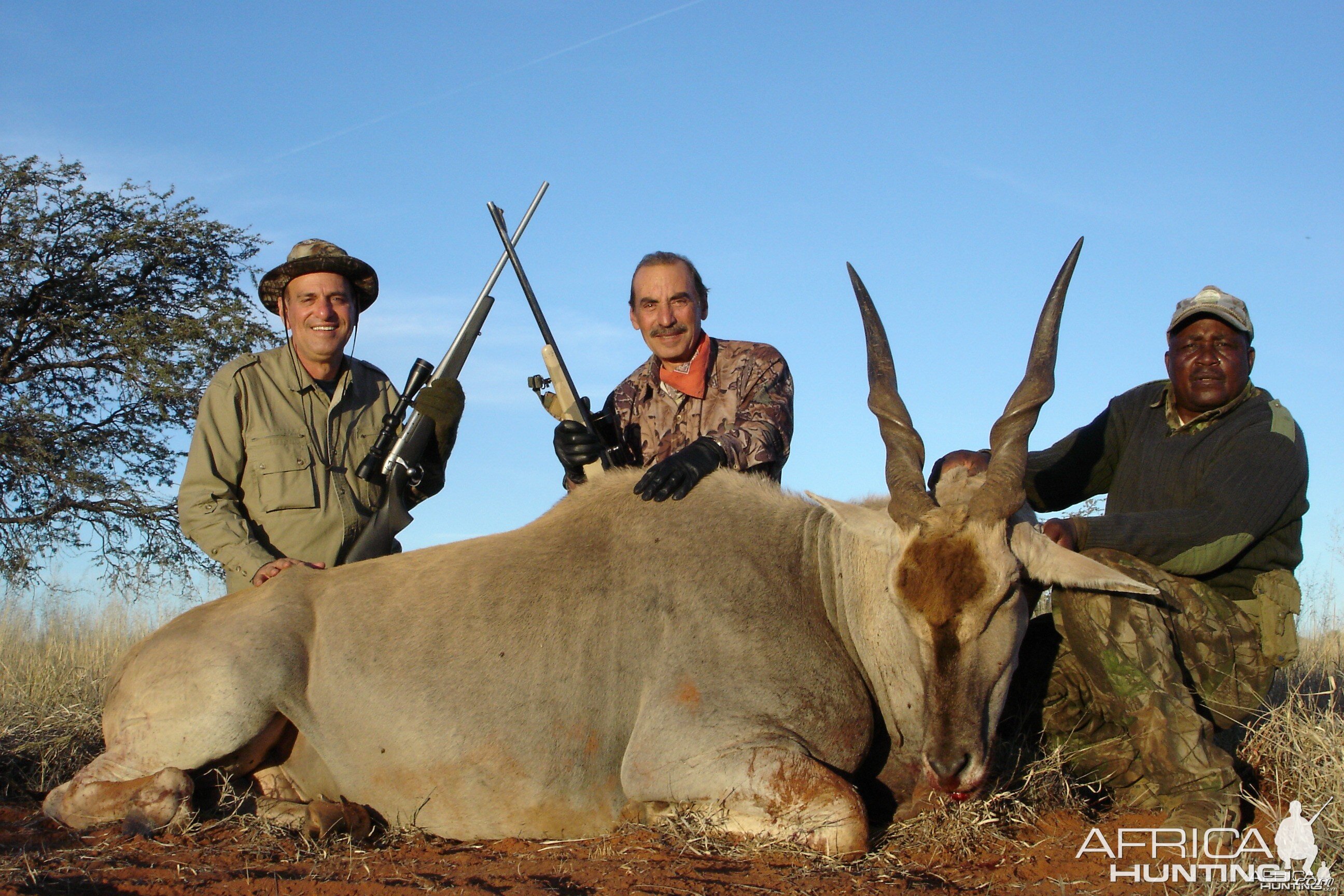 Hunting Eland with Wintershoek Johnny Vivier Safaris in SA