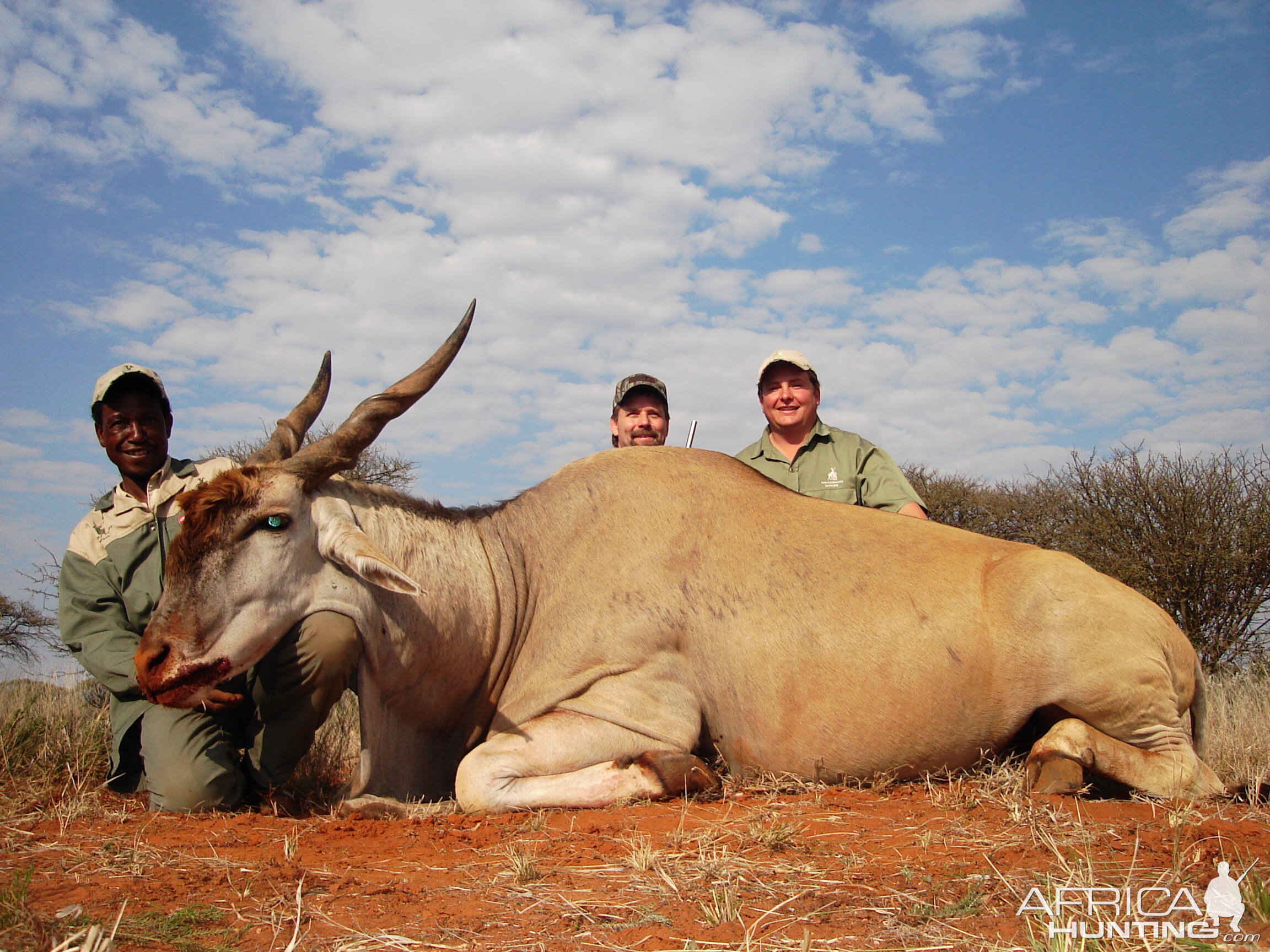 Hunting Eland with Wintershoek Johnny Vivier Safaris in SA