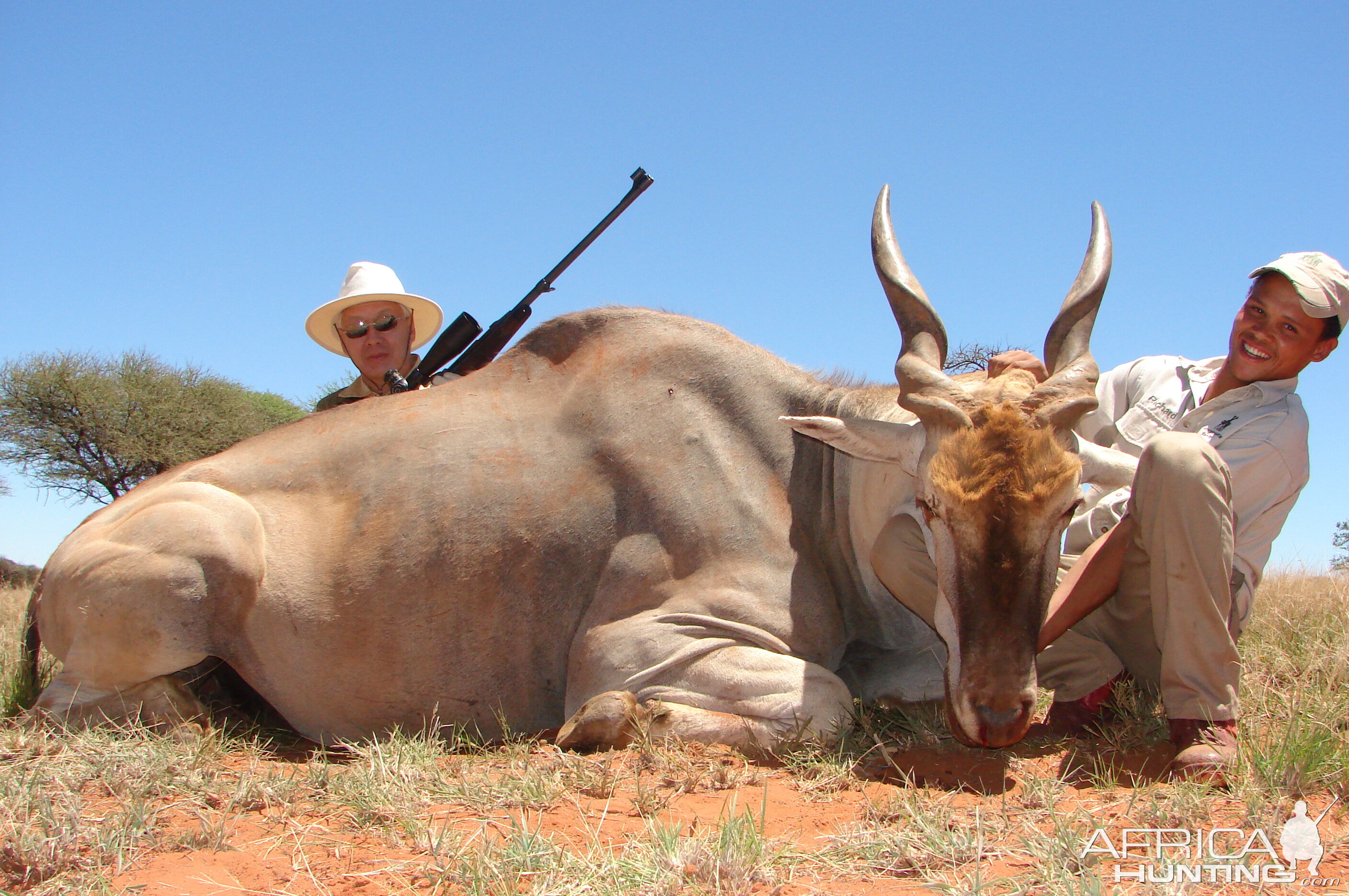 Hunting Eland with Wintershoek Johnny Vivier Safaris in SA