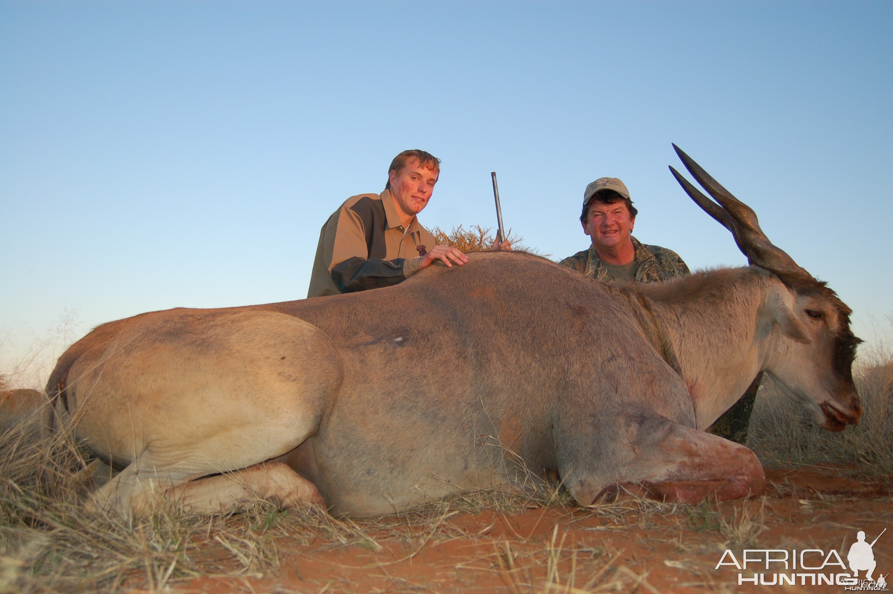 Hunting Eland with Wintershoek Johnny Vivier Safaris in SA