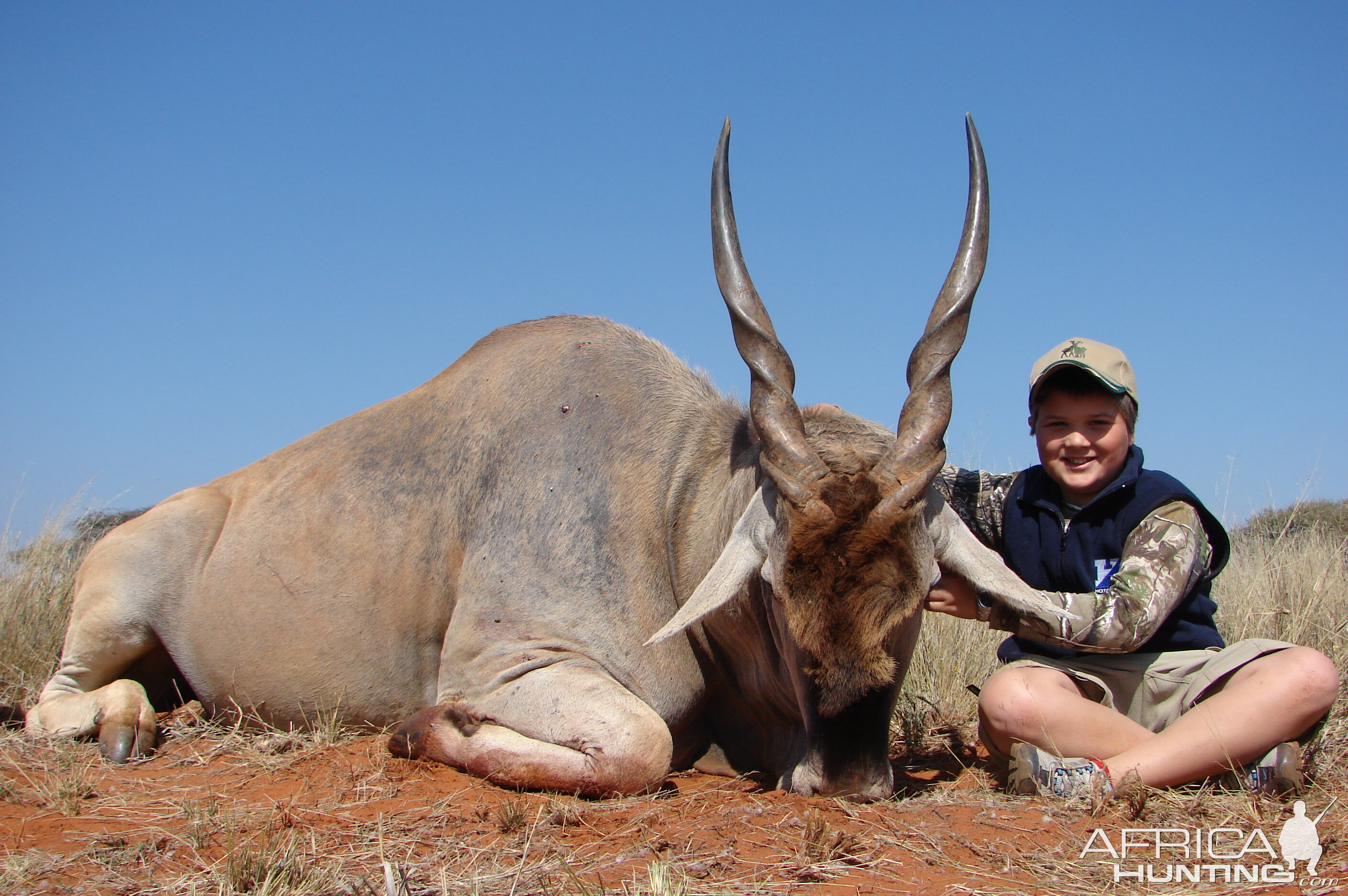 Hunting Eland with Wintershoek Johnny Vivier Safaris in SA