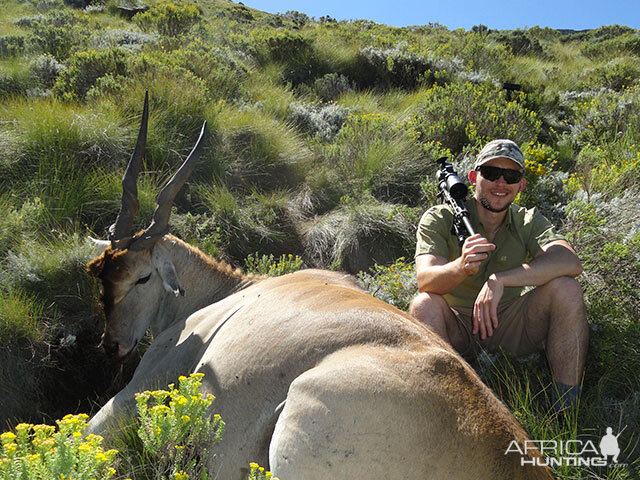 Hunting Eland