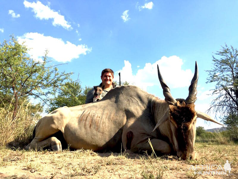 Hunting Eland