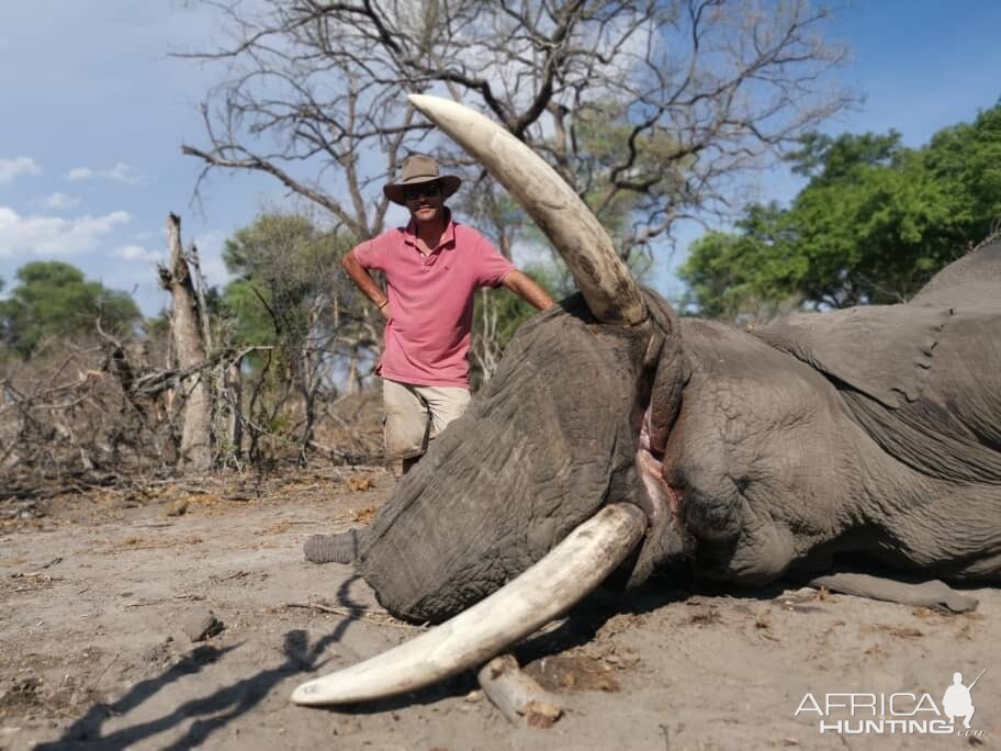 Hunting Elephant in Botswana | AfricaHunting.com