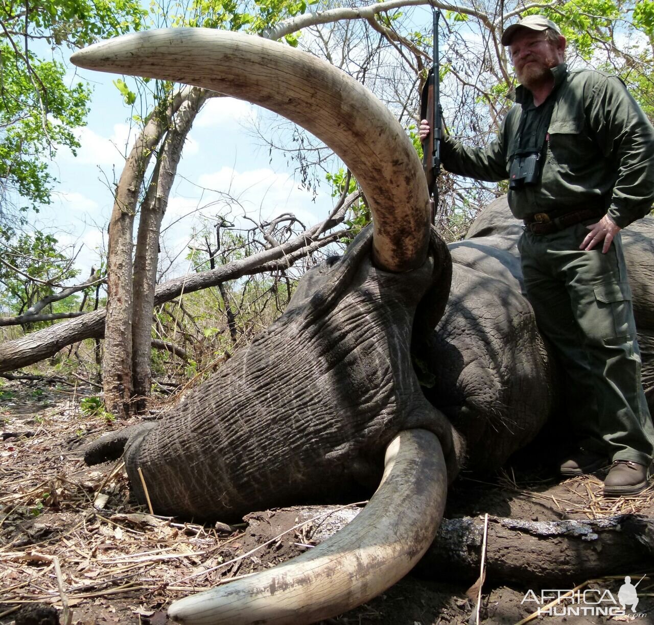 Hunting Elephant in Mozambique