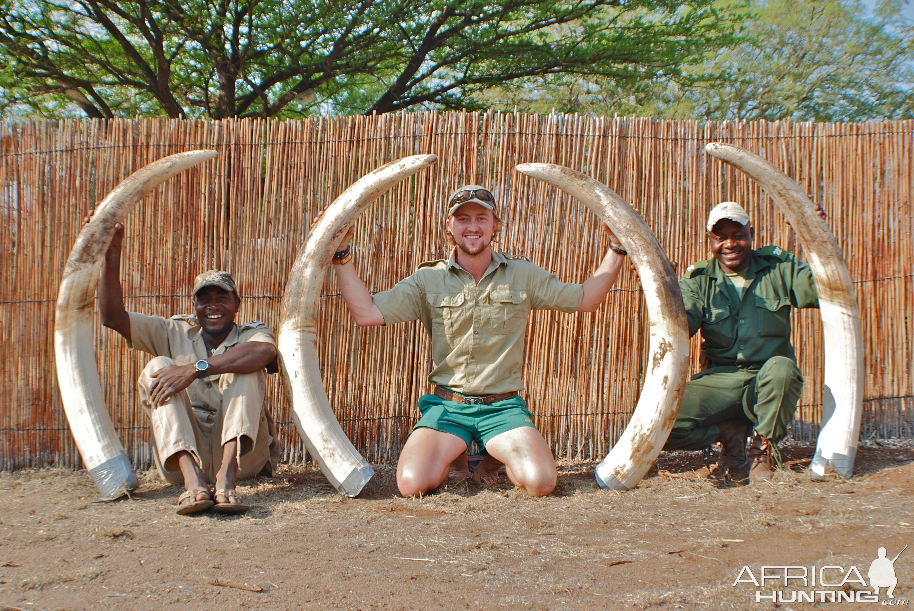 Hunting Elephant in Mpumalanga South Africa