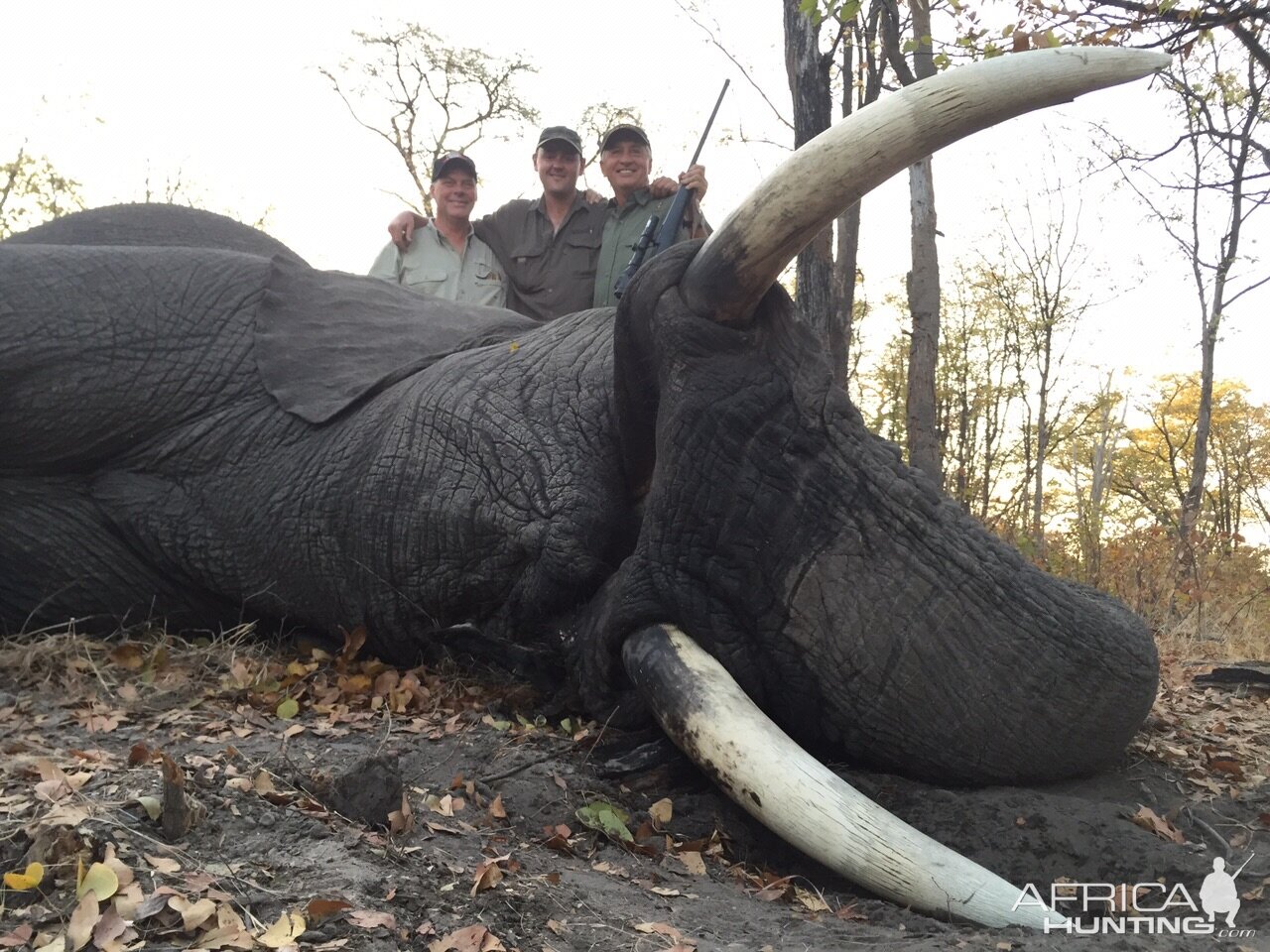 Hunting Elephant in Namibia